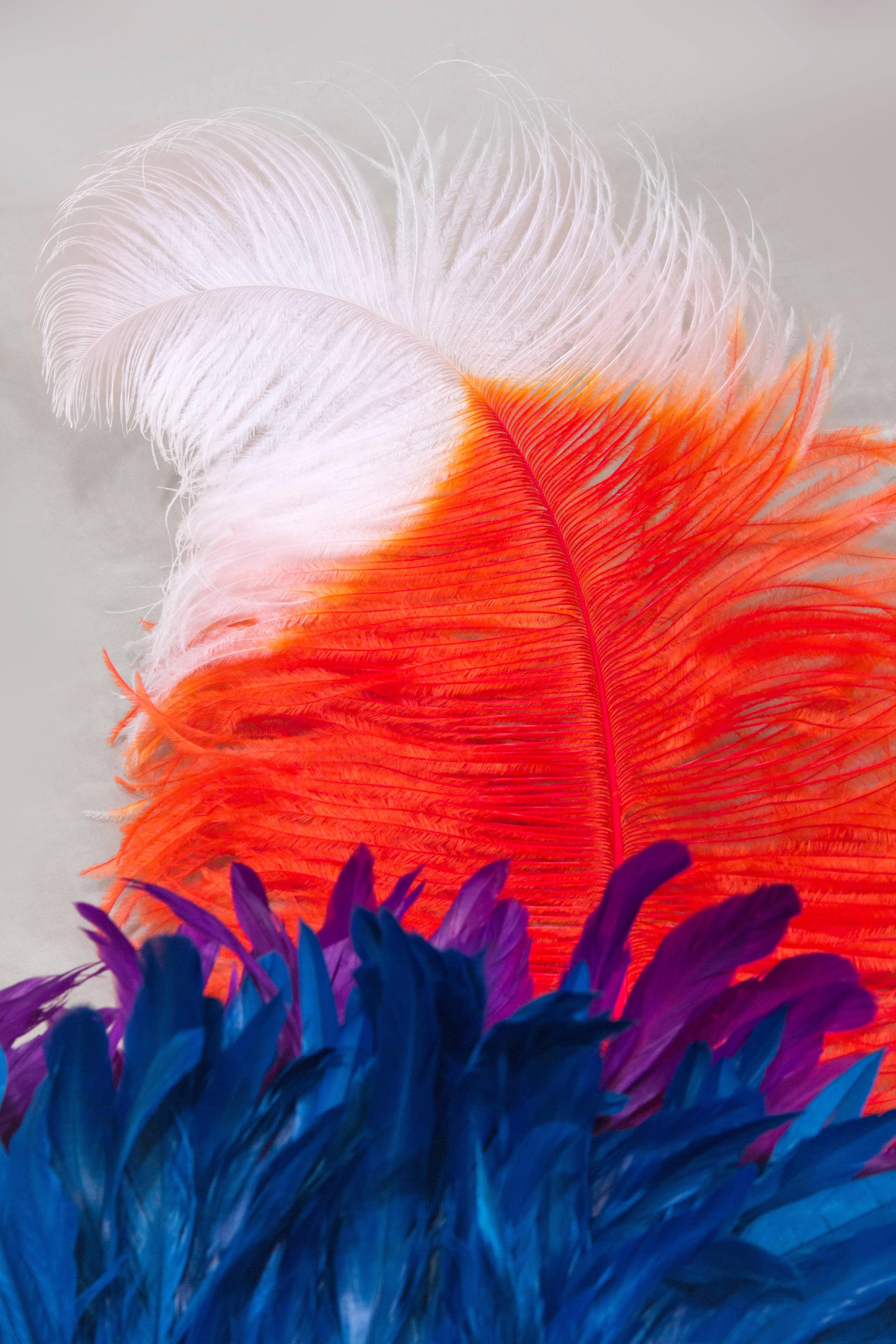 Colorful Feathered Leather Bird Mask In New Condition In Brooklyn, NY