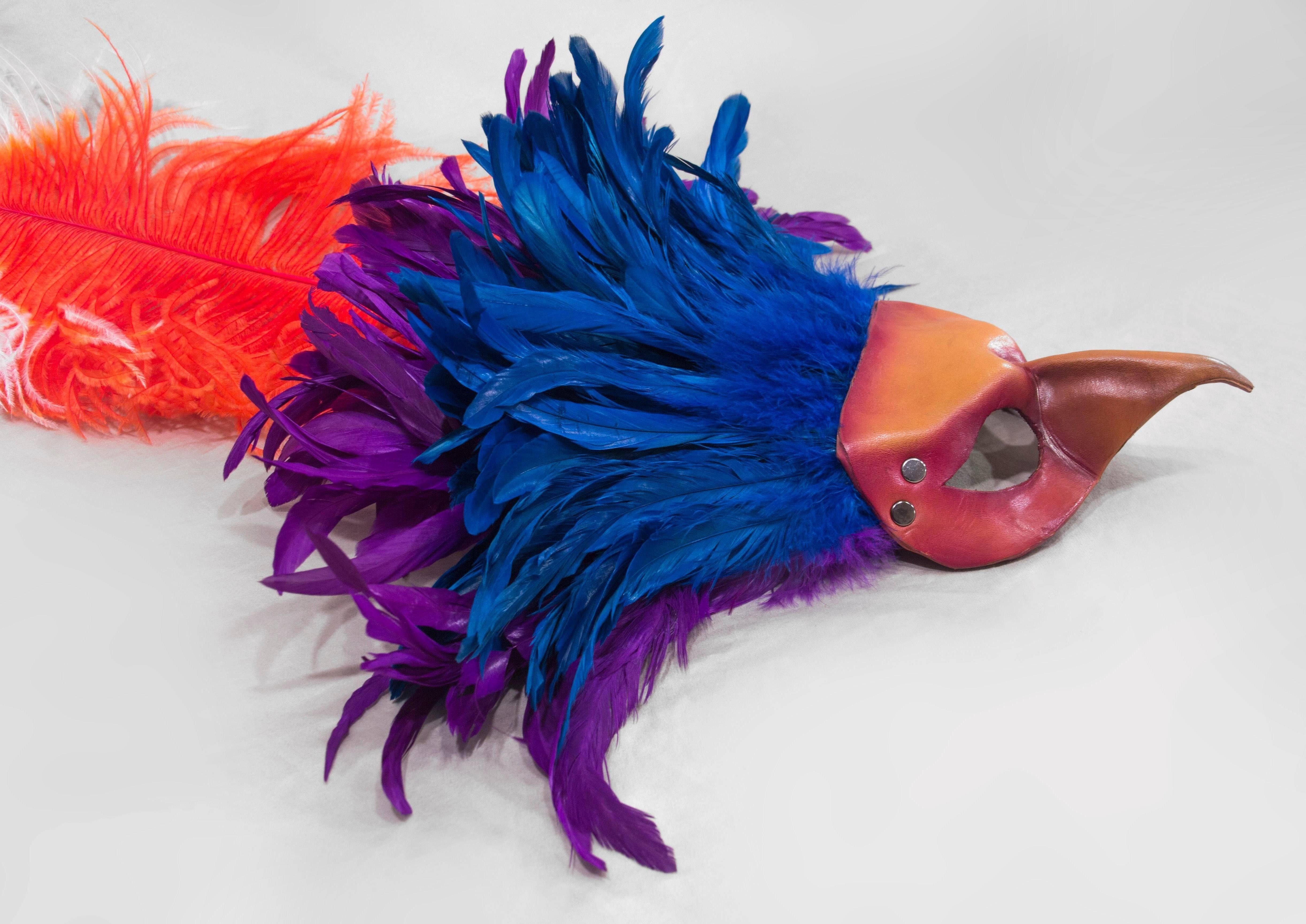 Contemporary Colorful Feathered Leather Bird Mask