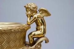 Early 19th Century Large "Versailles" Model Gilt Bronze Crater Vase, Jardiniere