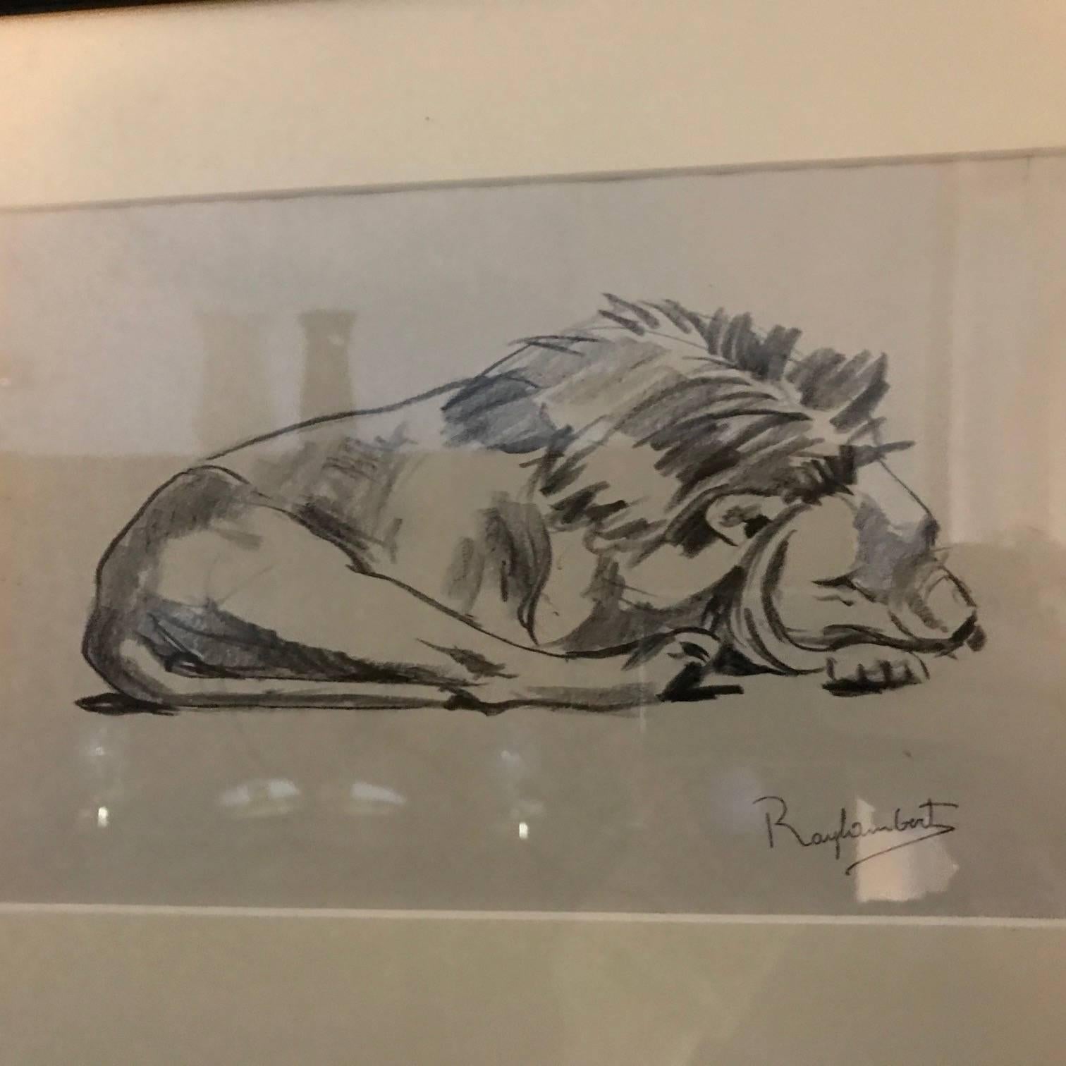 Mid-20th Century Paul Jouve period 12 Original french Drawing most of Lion by Raylambert , 1940