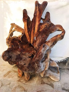 Organic Chair Teak oversize , 1960