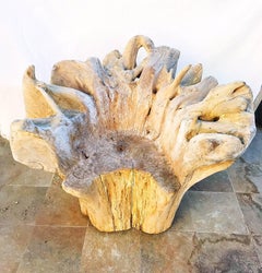 Organic Chair teak oversize, 1960