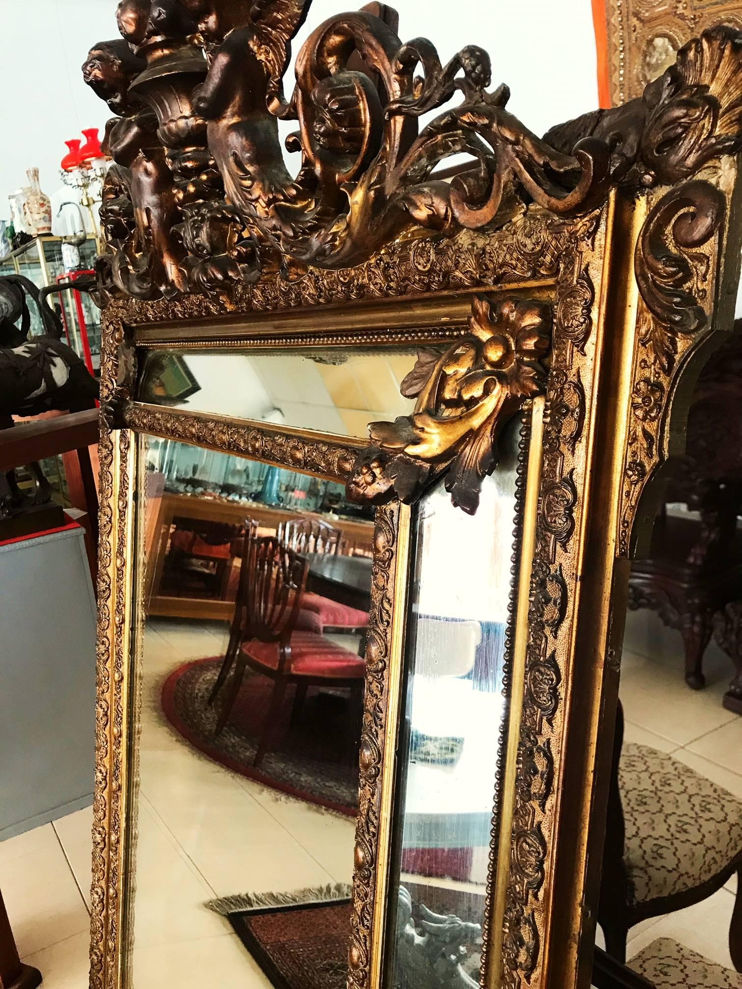 Late-19th Century French Louis XV Carved Gold Leaf Wall Hanging Parclose Mirror For Sale 3