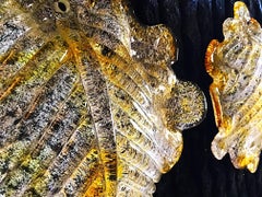 Mazzega mid-century Murano sconce glass hamber handblown pair 40 cm , 1970