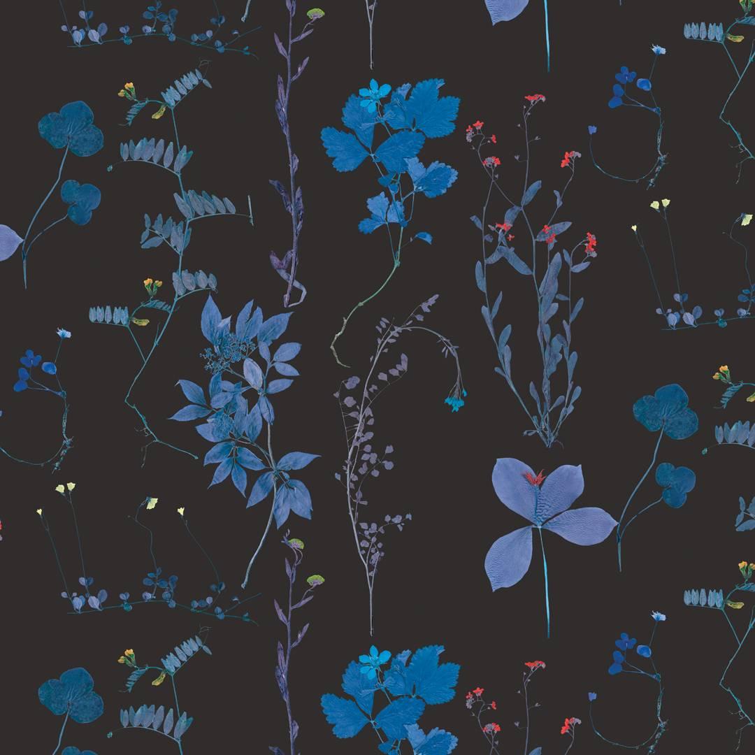 Herbario Designer Wallpaper in Tesla Blue 'Multicolor Blues on Black'