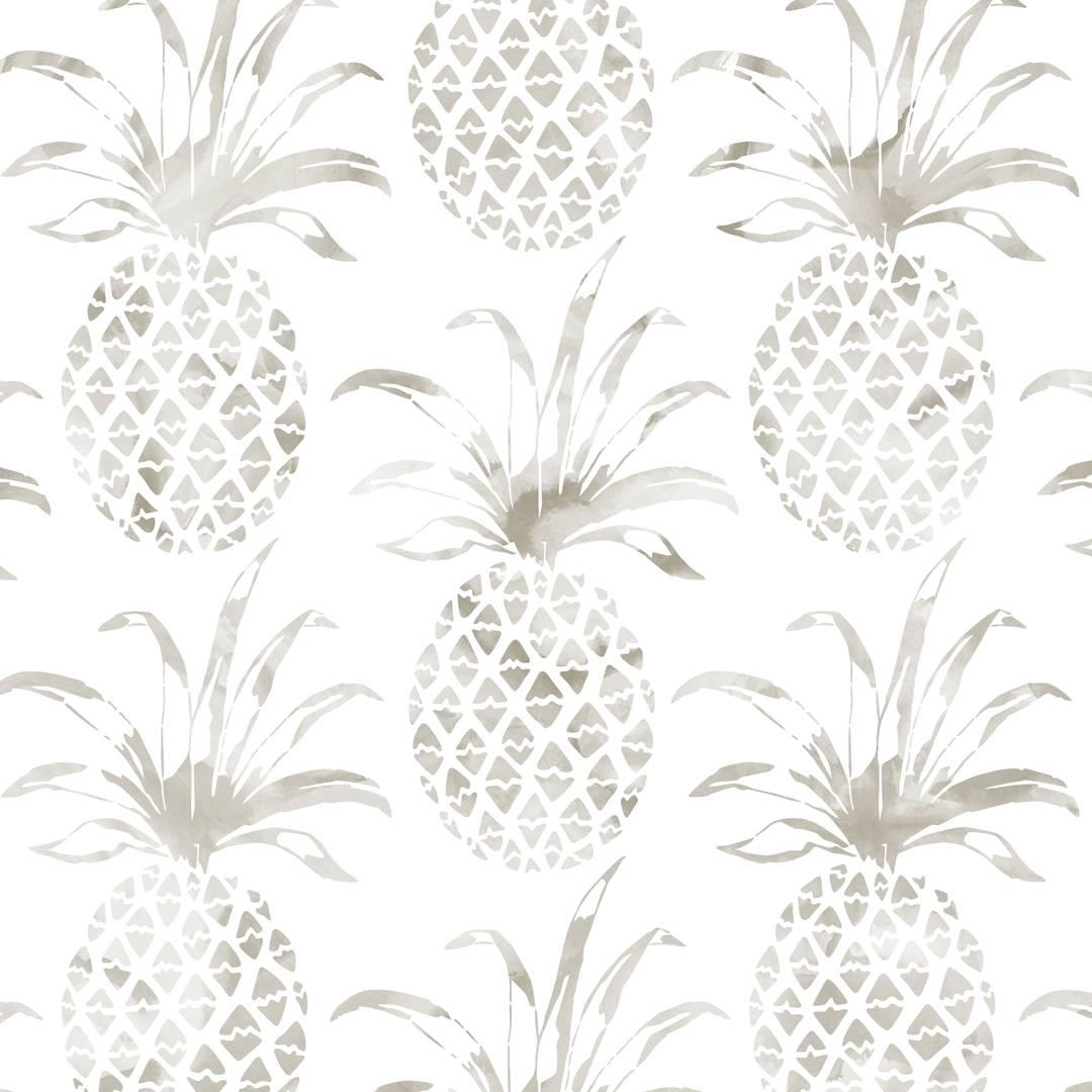 Piña Pintada Designer Wallpaper in Shell 'Warm Grey and White' For Sale