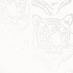 Star Tiger Designer Wallpaper in Mist 'Pearlescent Metallic on Soft White'