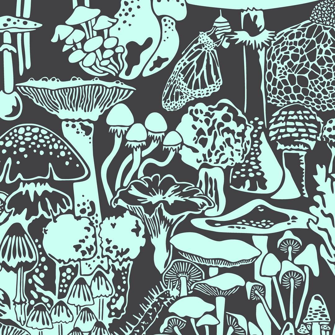 Papier peint de designer Mushroom City à motif menthe sur charbon de bois, couleur menthe