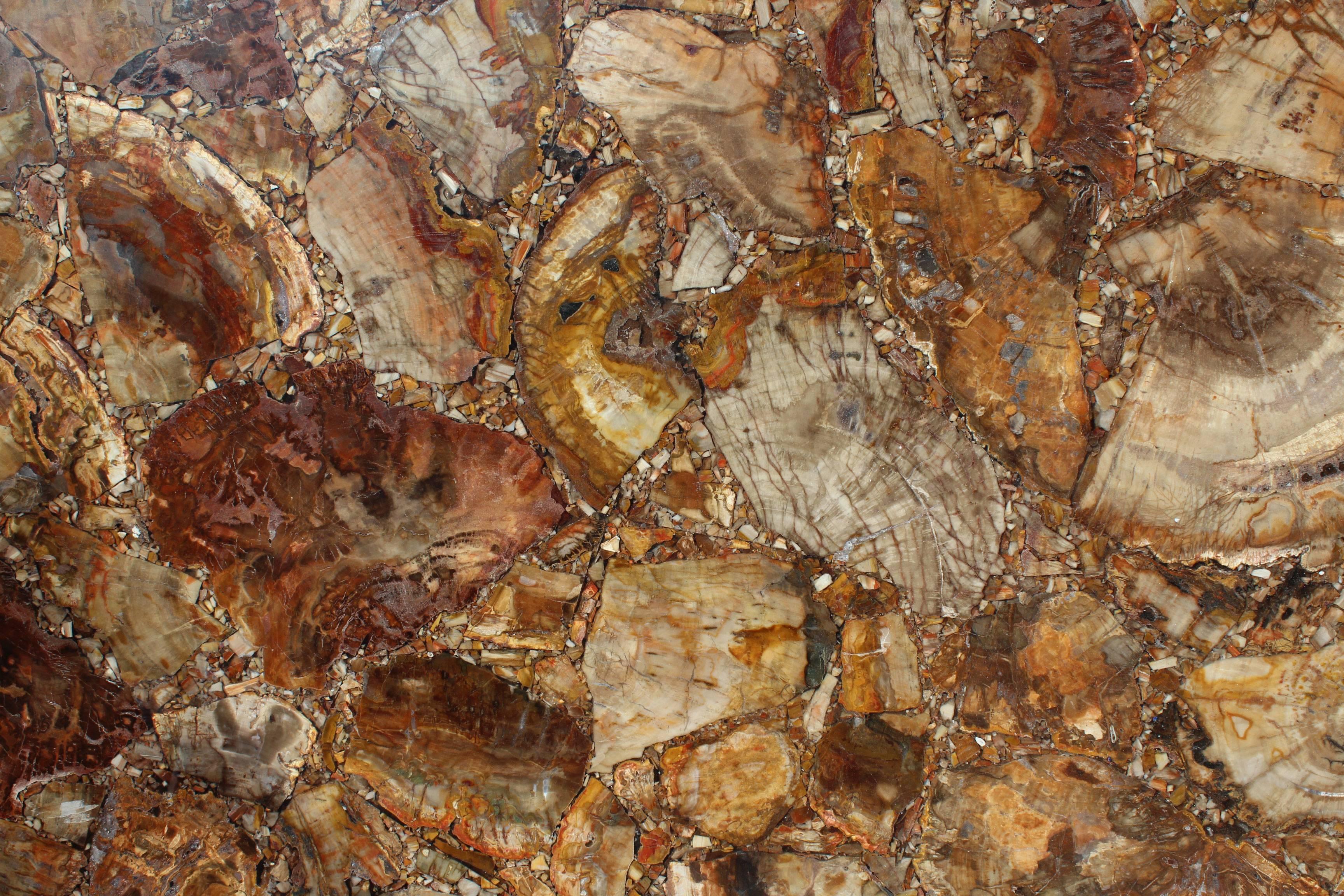 Petrified Wood Fossilized Tree Pietre Dure Hardstone Mosaic Table Top