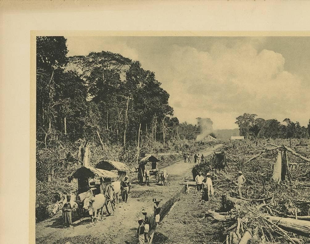 Photographic Plate Illustrating Felling Timber by Kleynenberg, 1910