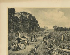 Fototeller mit Illustration aus Filzholz von Kleynenberg, 1910