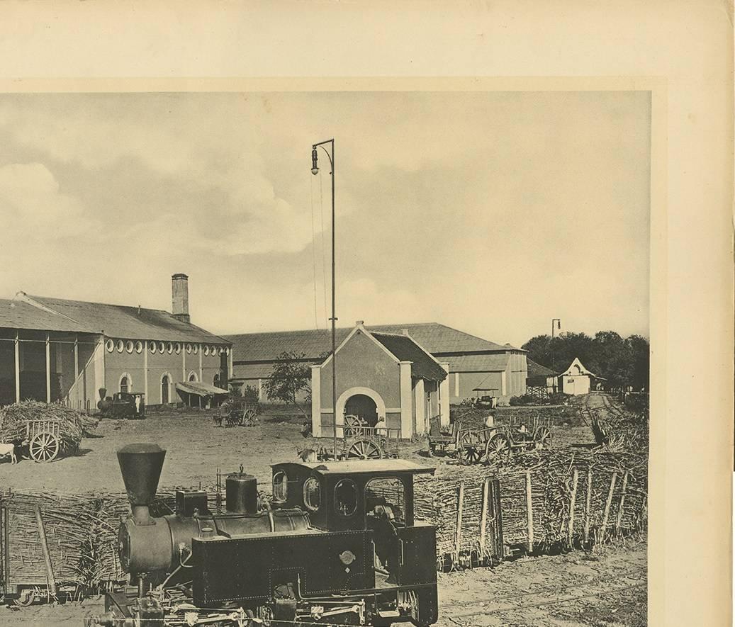 Assiette photographique illustrant le transport de la canne par Kleynenberg, 1910 Bon état - En vente à Langweer, NL