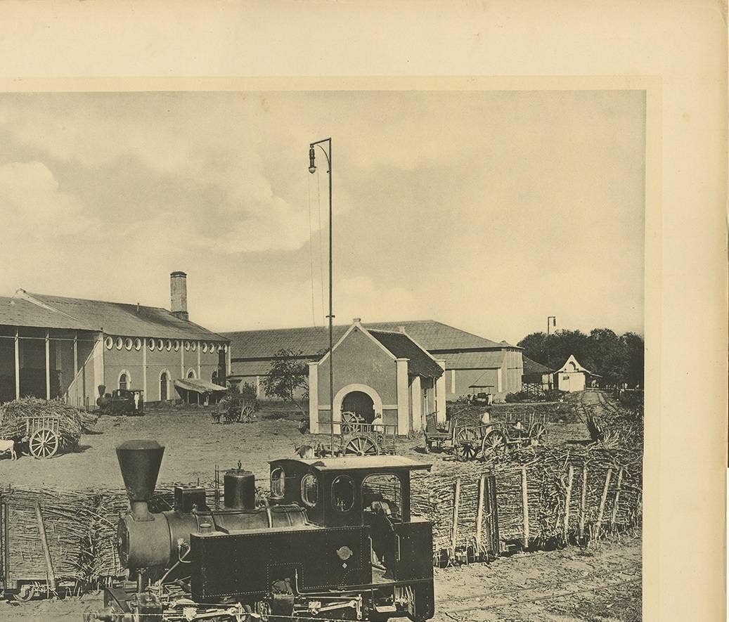 Photographic Plate Illustrating the Transportation of Cane by Kleynenberg, 1910