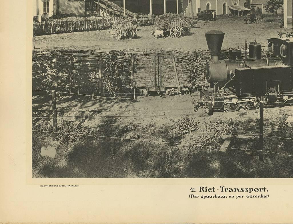 20ième siècle Assiette photographique illustrant le transport de la canne par Kleynenberg, 1910 en vente