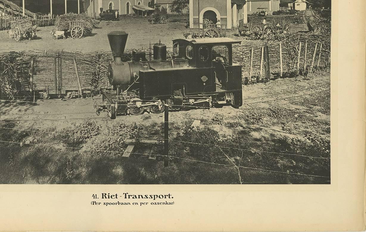 Papier Assiette photographique illustrant le transport de la canne par Kleynenberg, 1910 en vente