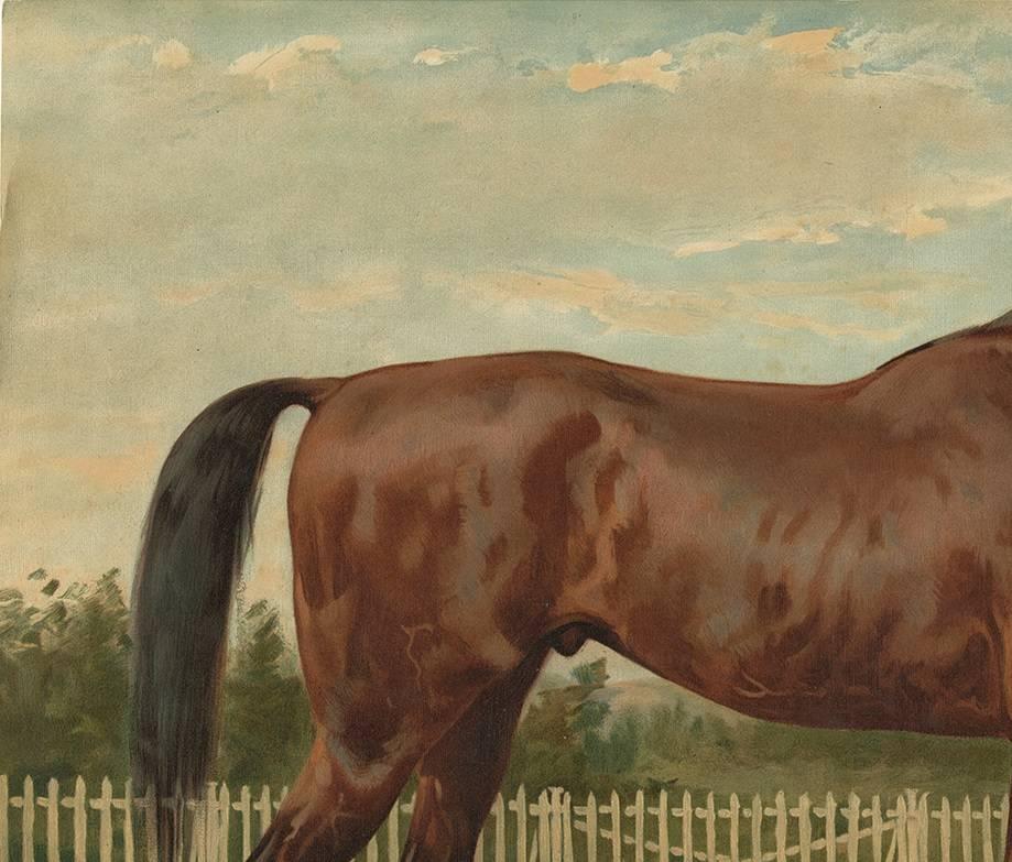 Beautiful and decorative print of an English Thoroughbred published in 1898. These oleographs (type of lithograph) were originally part of the Dutch edition of ‘Paardenrassen Kunstalbum’, a portfolio with 41 prints based on paintings by Eerelman.