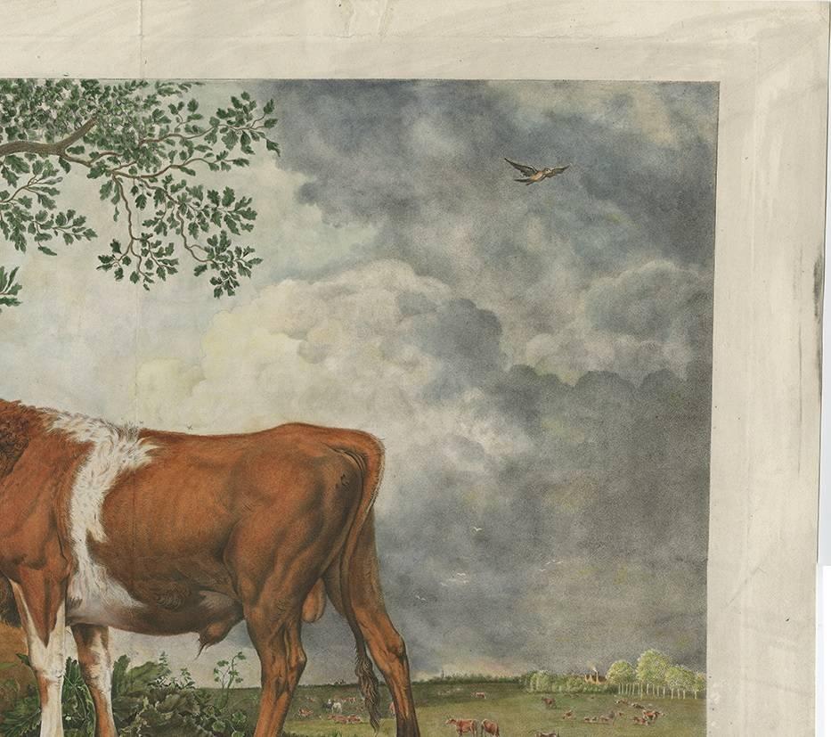 Antique Print of a Bull-Calf, Made After the Painting of Paulus Potter In Good Condition In Langweer, NL