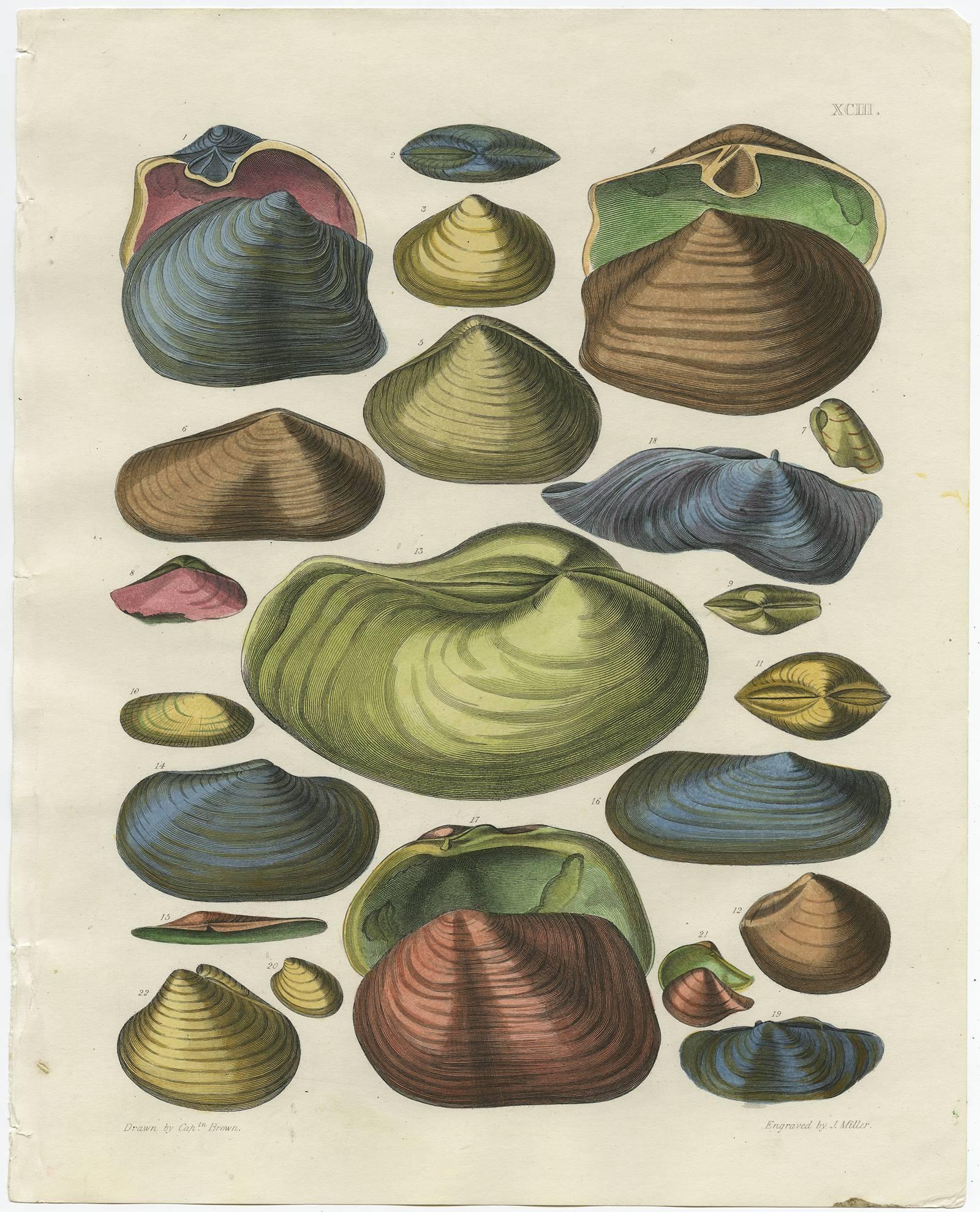 Original hand-colored engravings from illustrations of the 