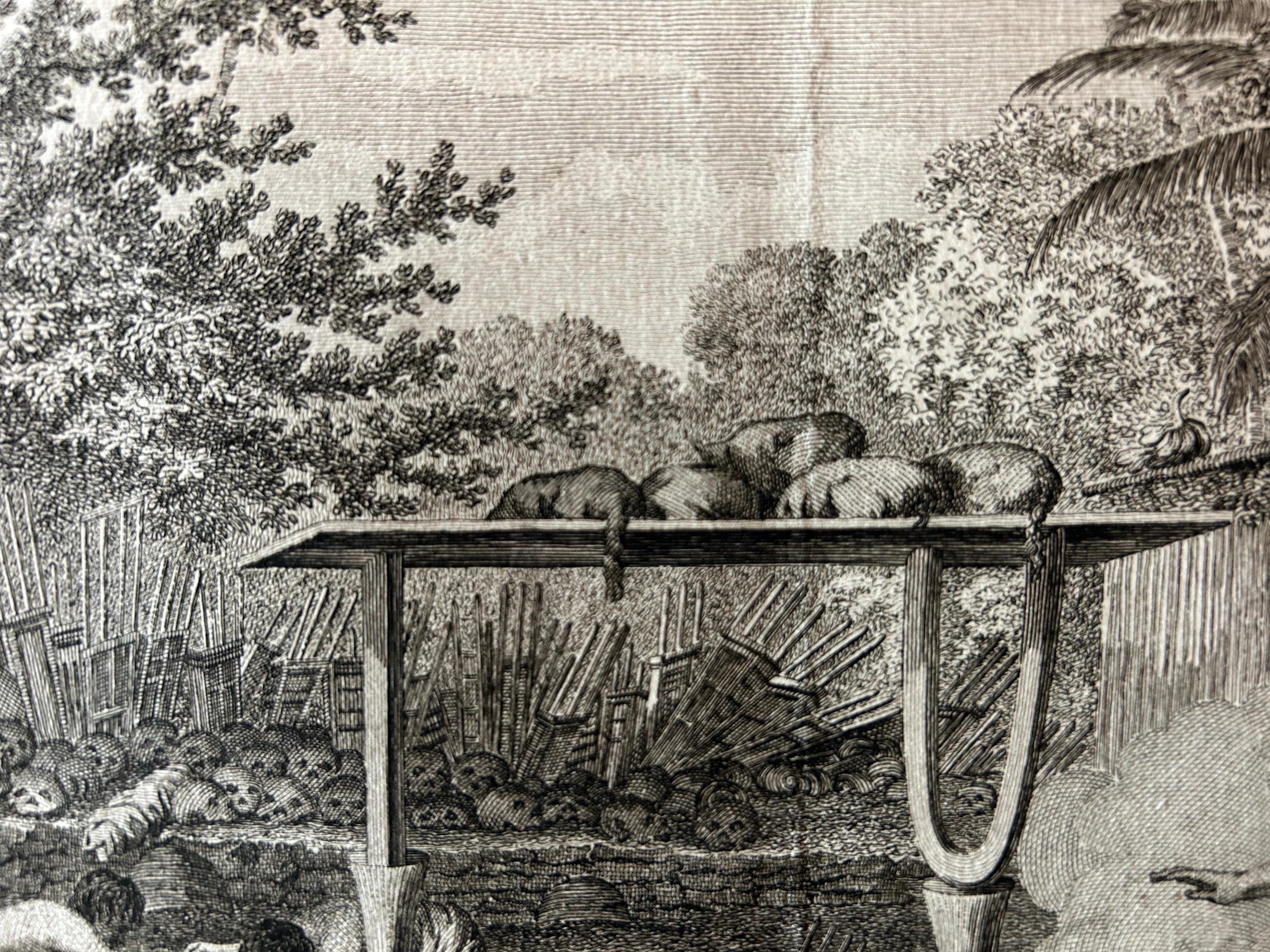Old Print von Kapitän Cook, der ein menschliches Gebet in einem Morai, Tahiti, sieht, 1803 (Papier) im Angebot