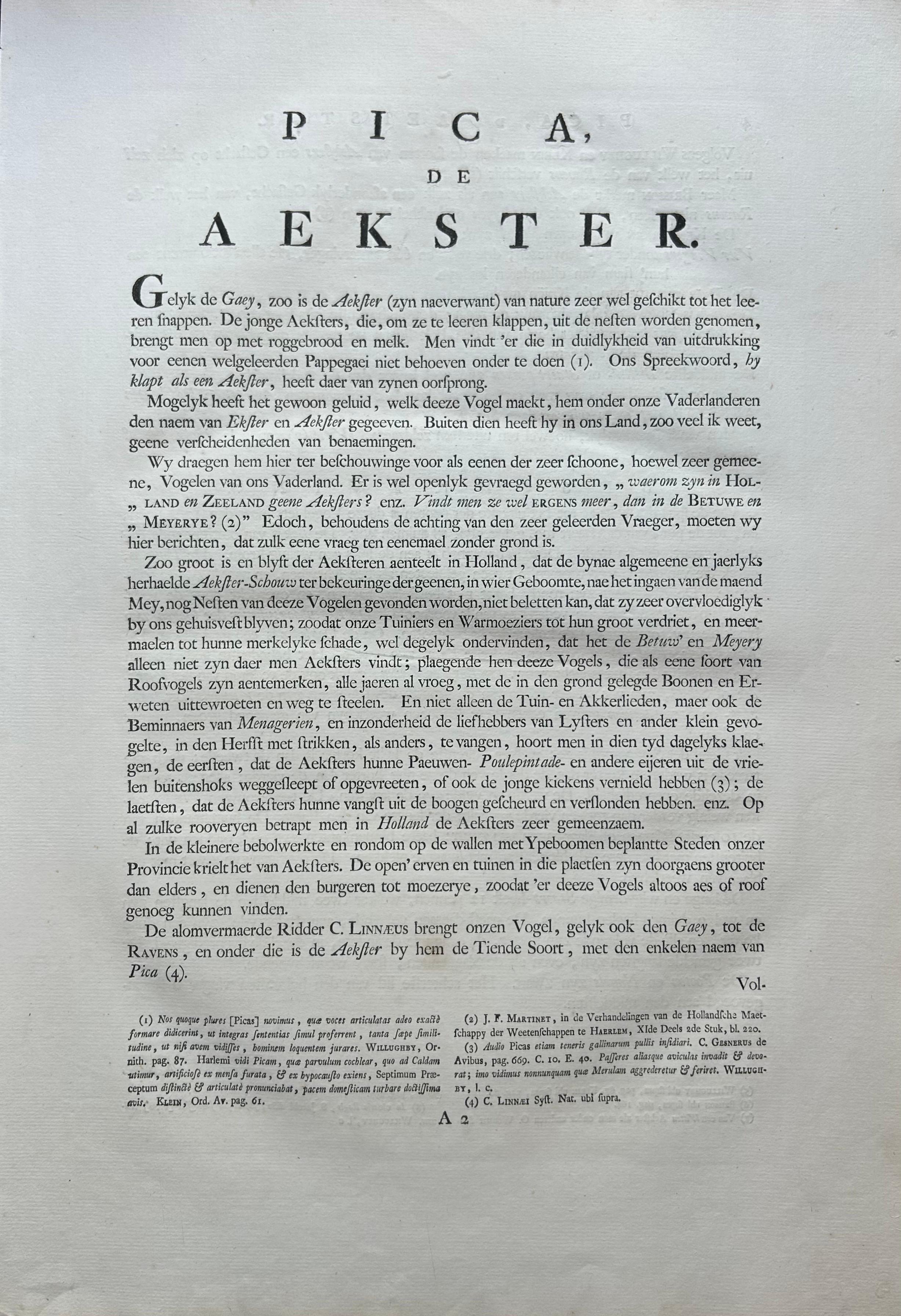 Magpie (Pica) – Antique Ornithological Print with Dutch Text, Nozeman, 1770–1829 For Sale 3