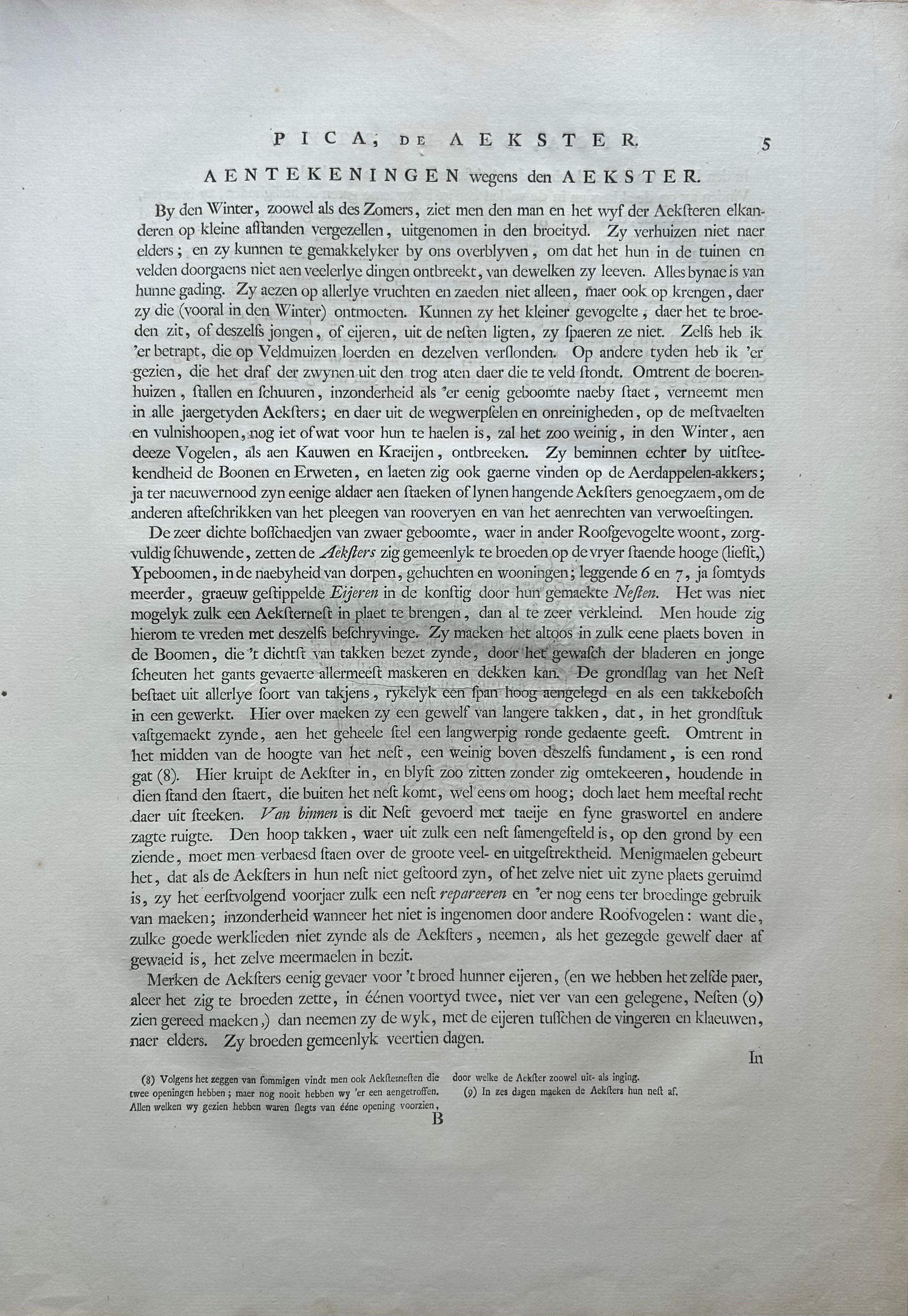 Magpie (Pica) – Antique Ornithological Print with Dutch Text, Nozeman, 1770–1829 For Sale 8