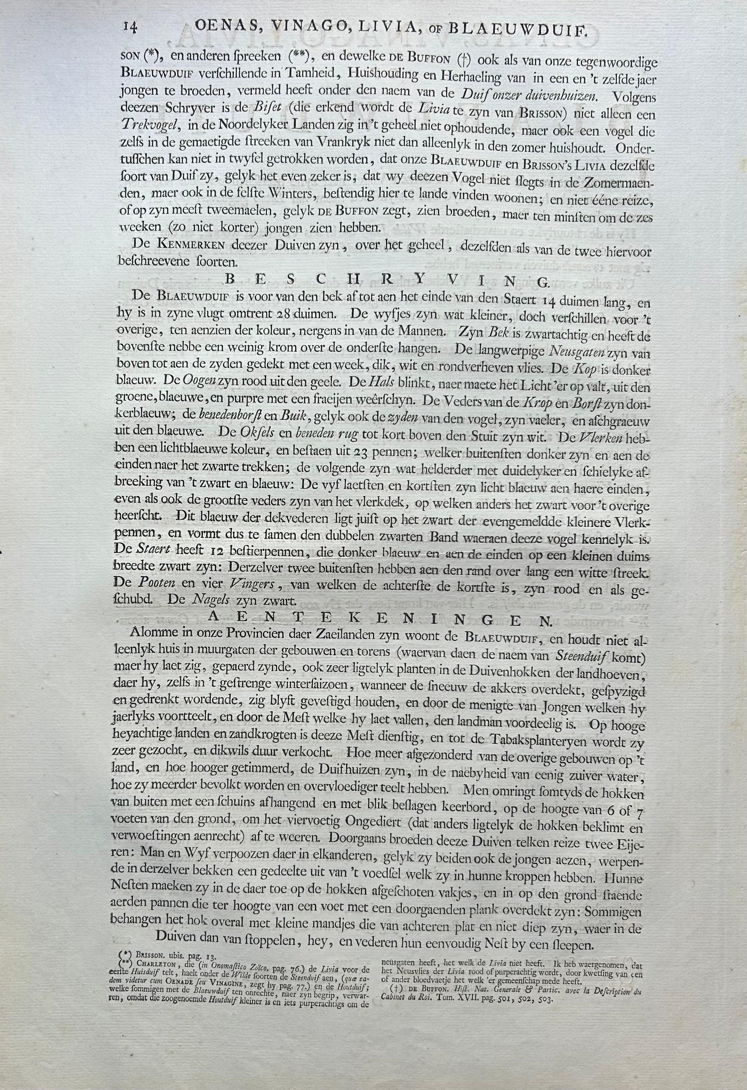 Antiker antiker Vogeldruck der Bergtaube von Sepp & Nozeman, 1770 im Angebot 3