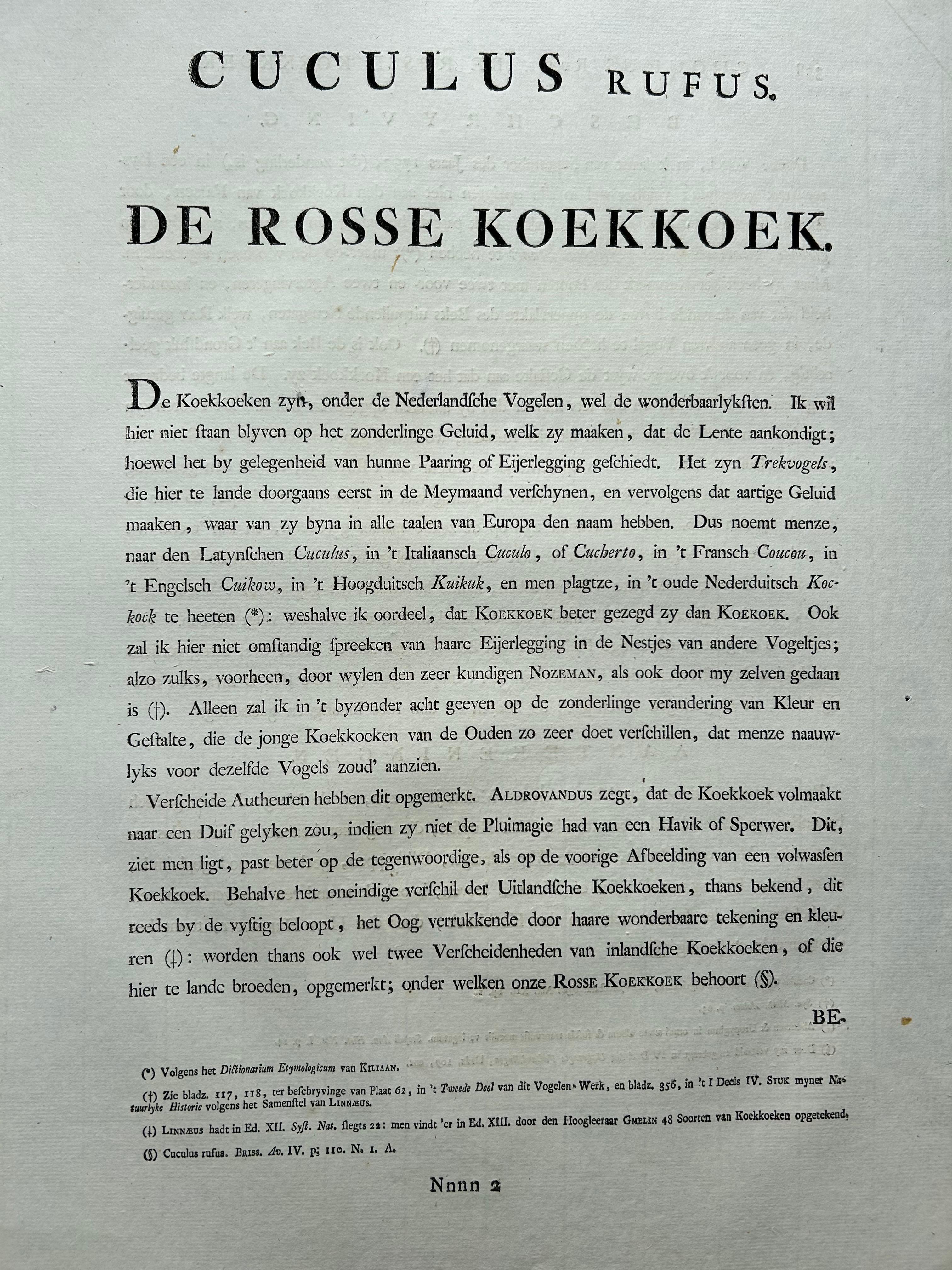 Impression oiseau ancienne du Cuckoo commun par Sepp & Nozeman, 1809 en vente 3
