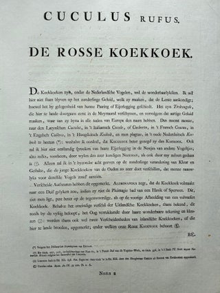Rufous Cuckoo, Hand-Coloured Engraving with Dutch Text, 1770–1829, view 10