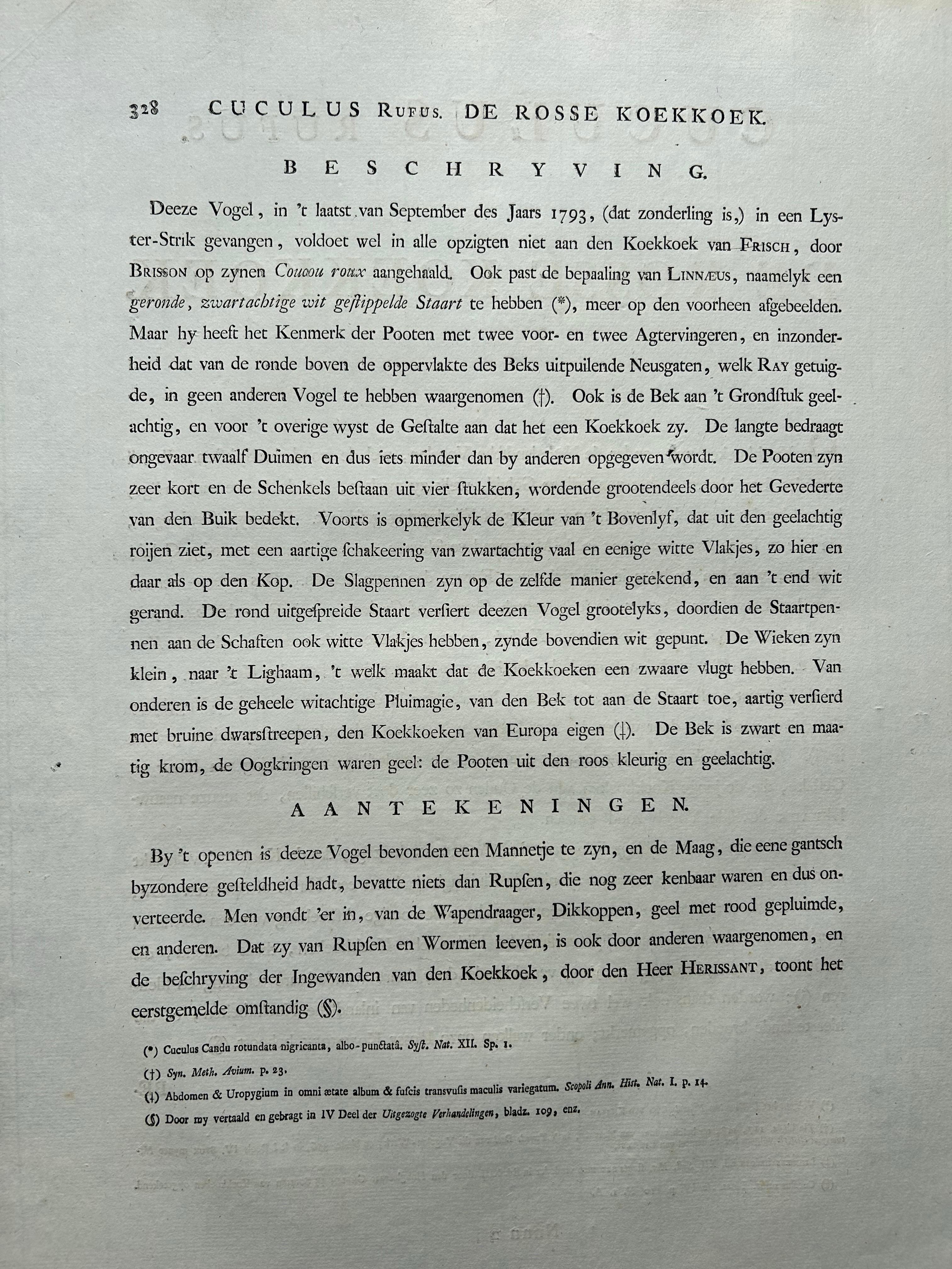 Impression oiseau ancienne du Cuckoo commun par Sepp & Nozeman, 1809 en vente 4