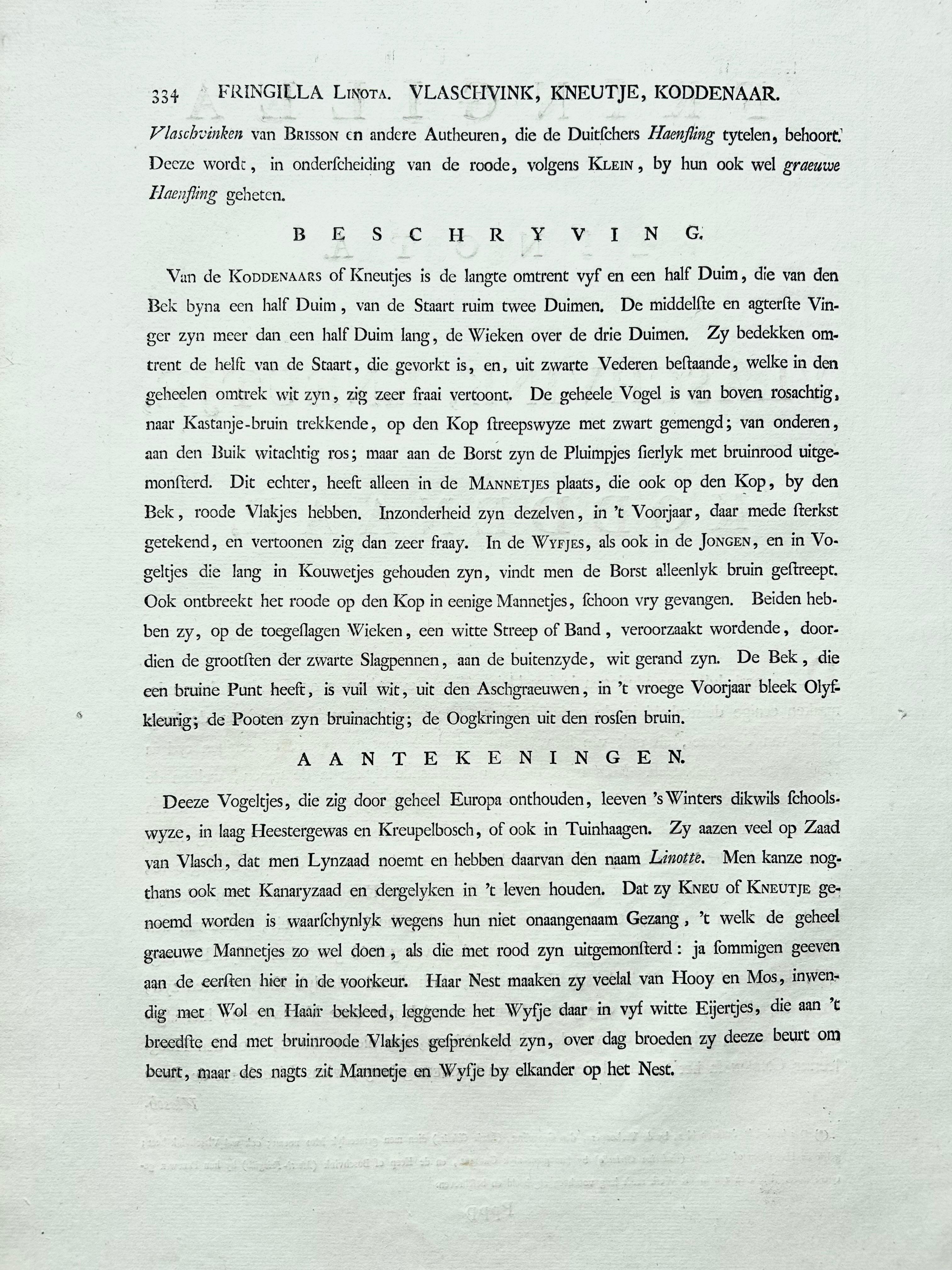 Impression ancienne d'oiseau du Linnet commun par Sepp & Nozeman, 1809 en vente 5