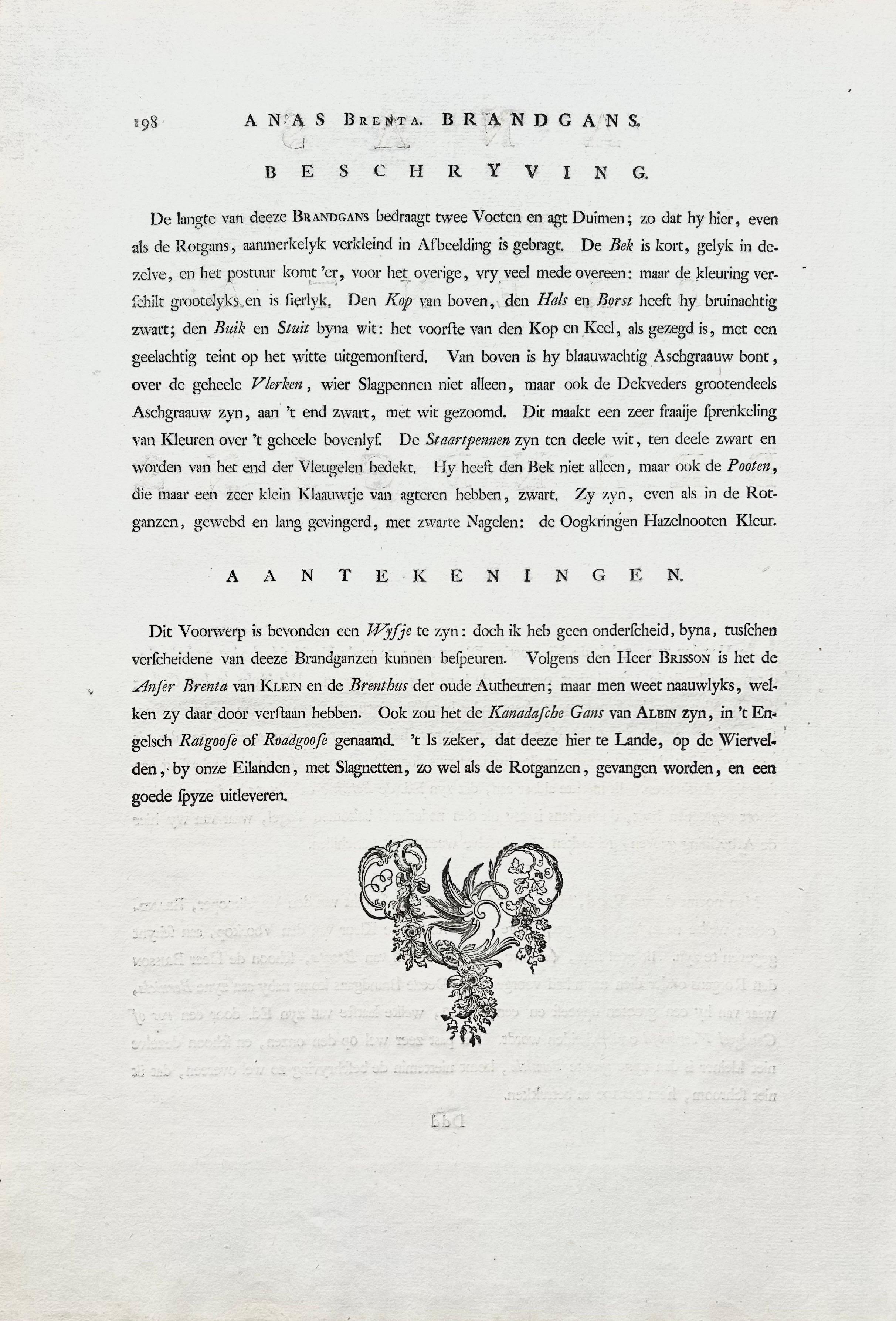 Impression oiseau ancienne de l'oie Barnacle par Sepp & Nozeman, 1797 en vente 4