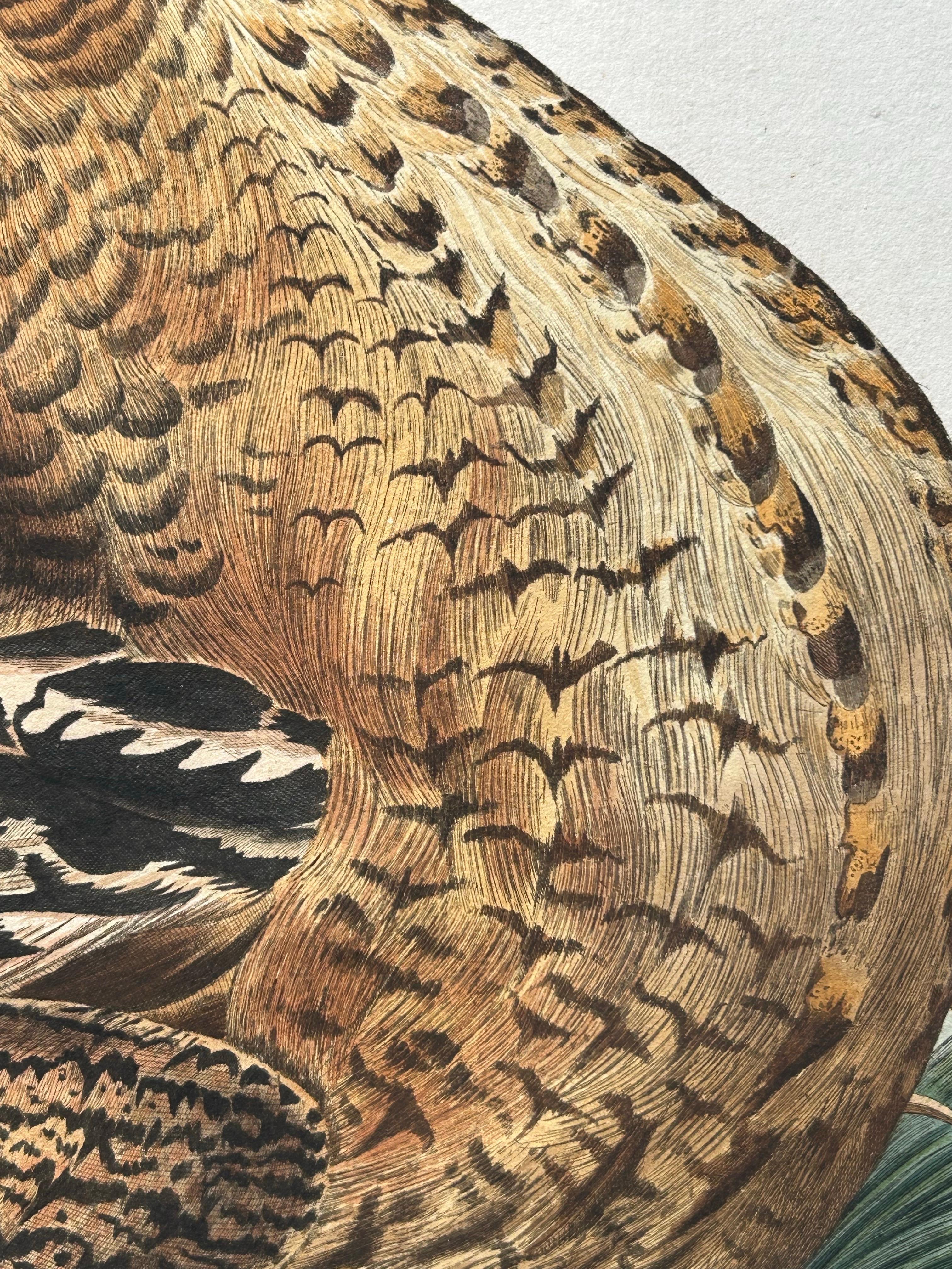 Paper Ardea Stellaris Rufa – Eurasian Bittern from Nederlandsche Vogelen, 1809 For Sale