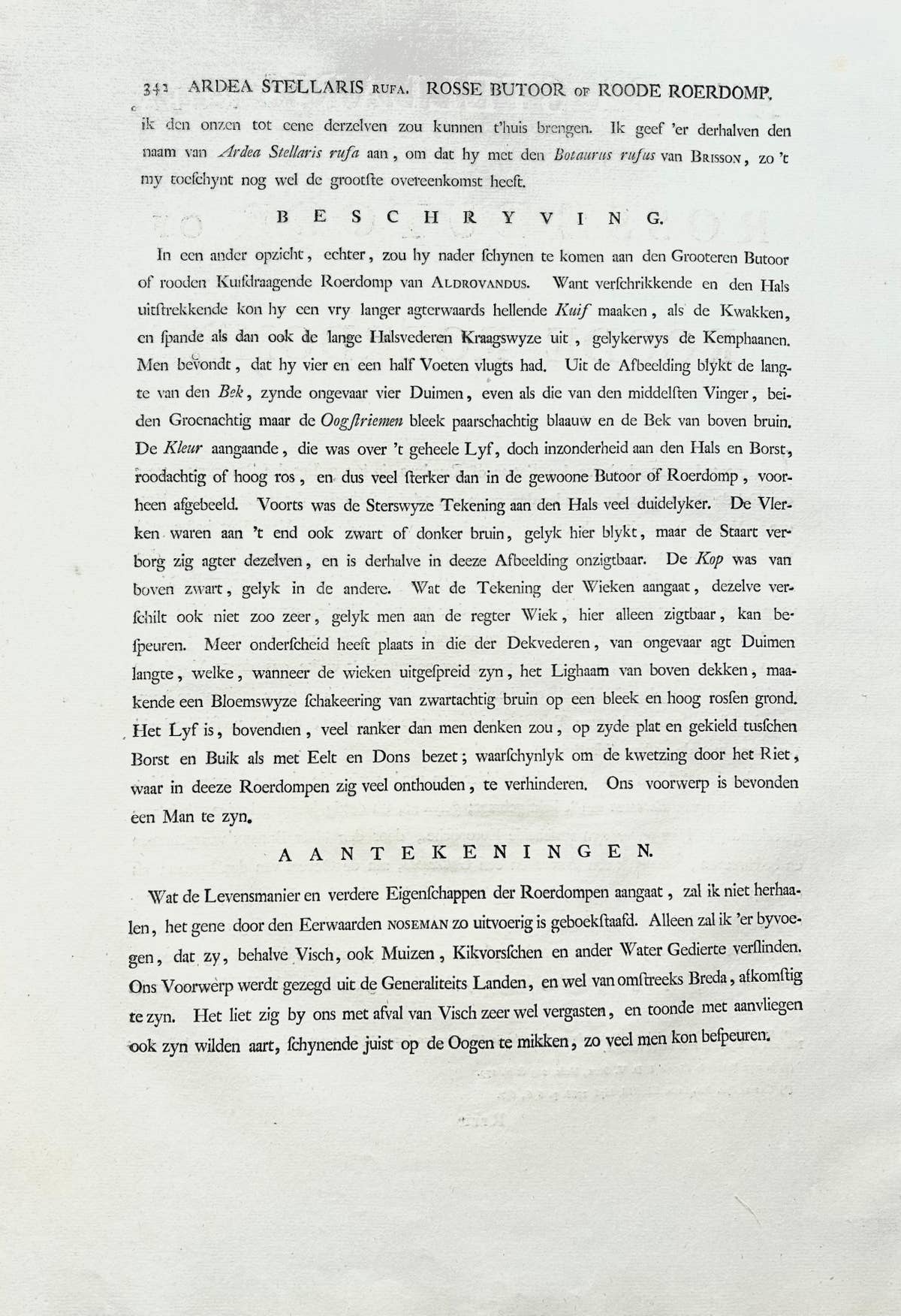 Ardea Stellaris Rufa – Eurasian Bittern from Nederlandsche Vogelen, 1809