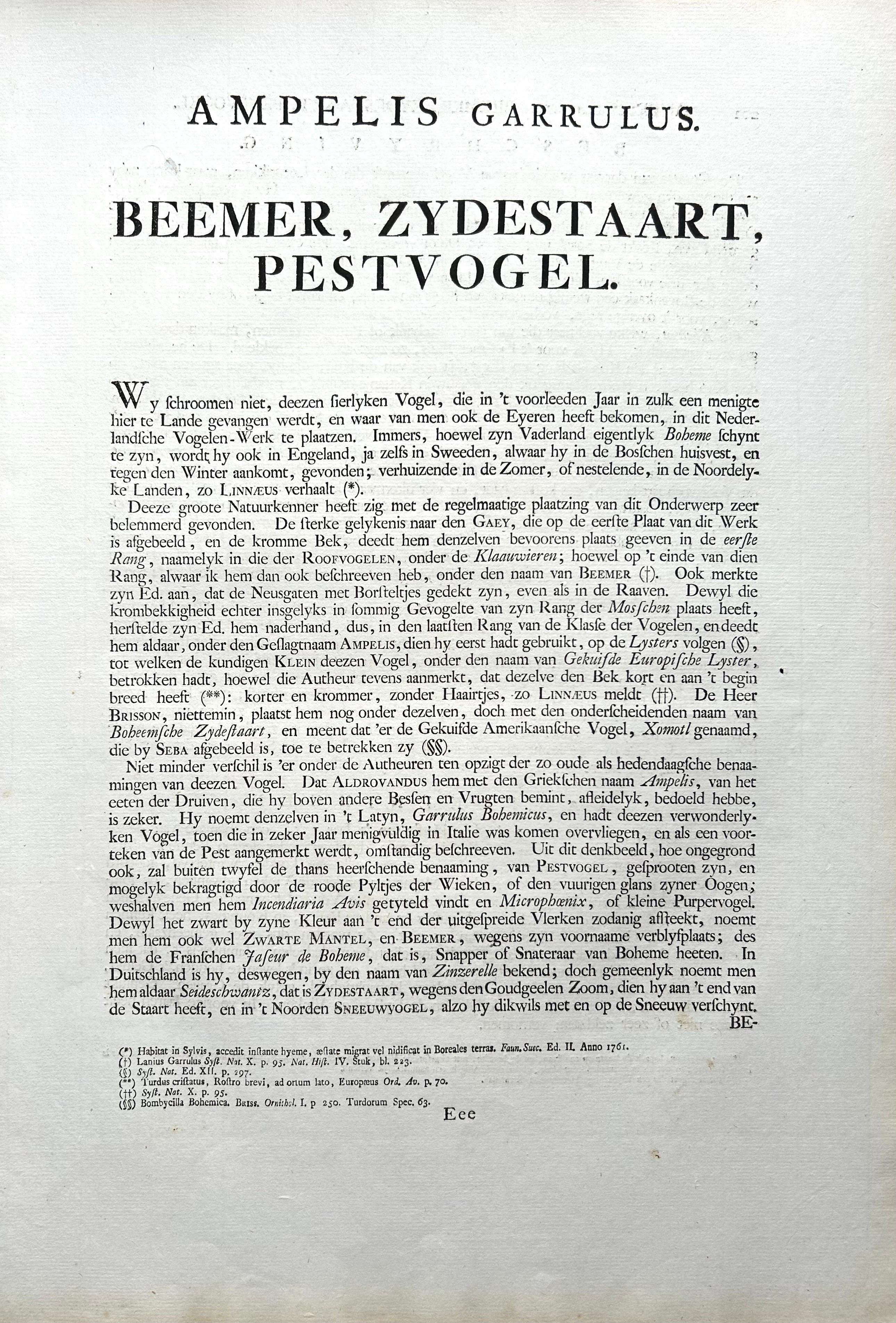 Bohemian Waxwing – Ampelis Garrulus from Nederlandsche Vogelen, 1797 For Sale 3