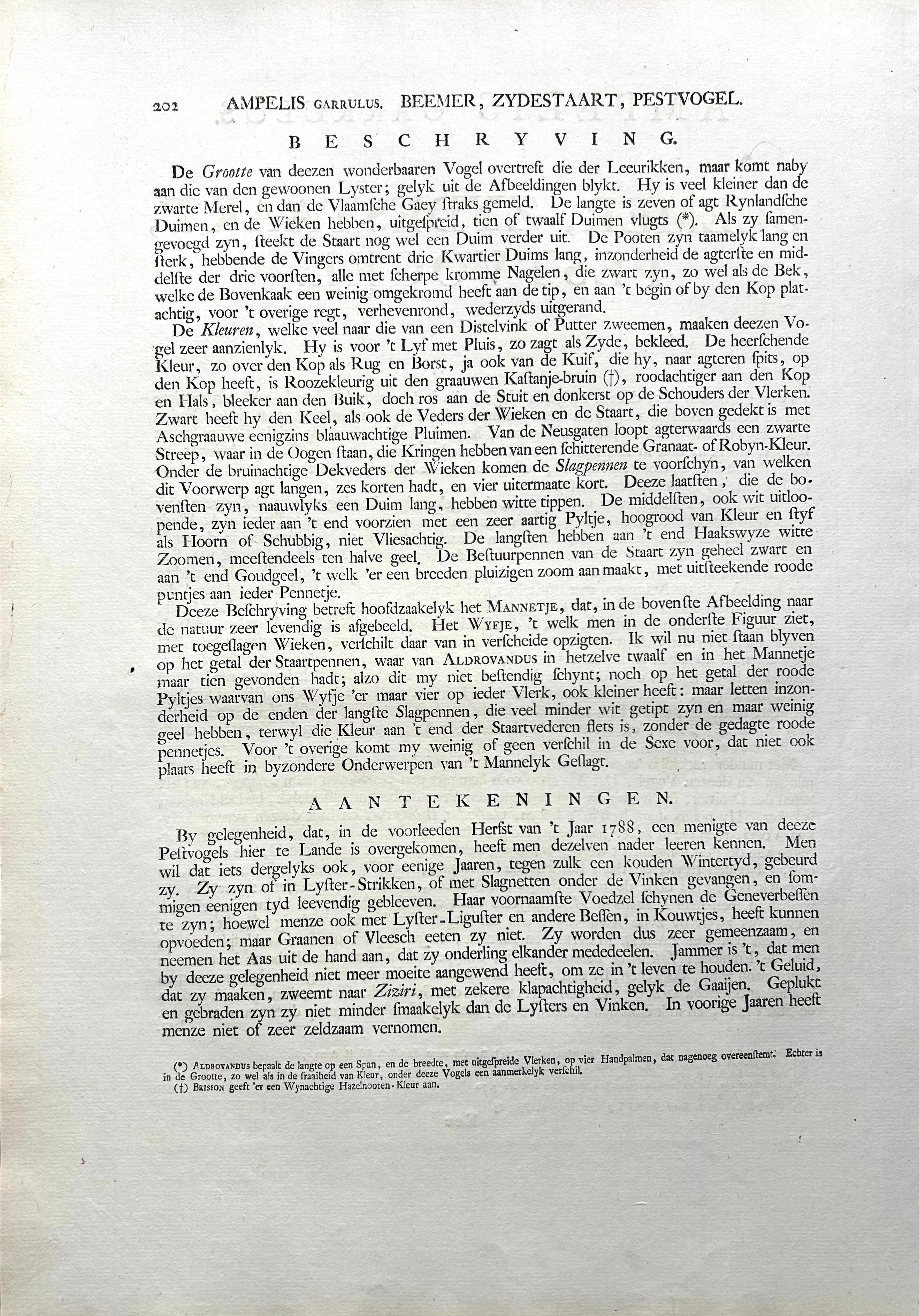 Bohemian Waxwing – Ampelis Garrulus from Nederlandsche Vogelen, 1797 For Sale 4