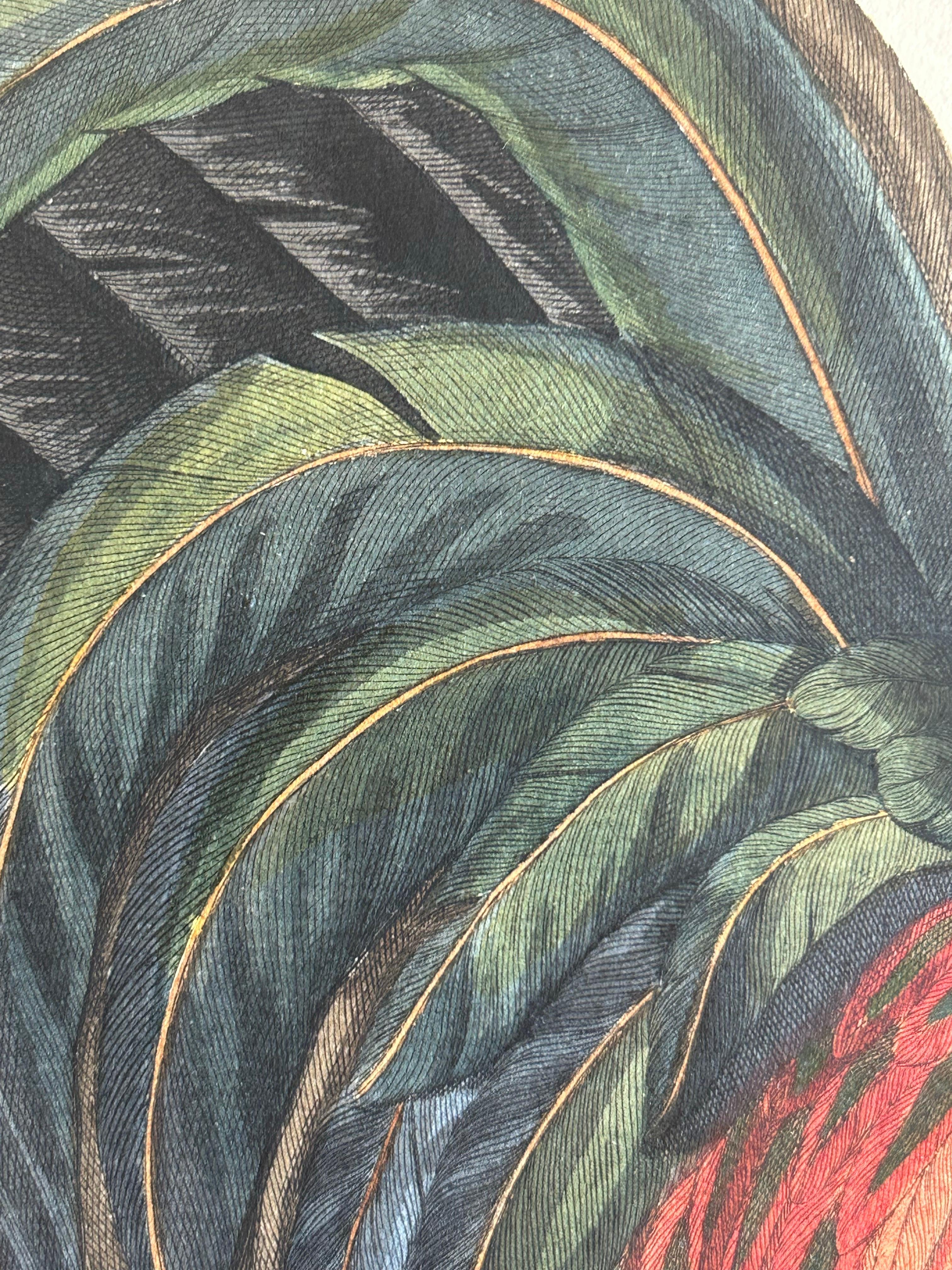 Rooster – Gallus Domesticus Mas – Antique Poultry Print by Sepp & Nozeman c.1829 In Good Condition For Sale In Langweer, NL