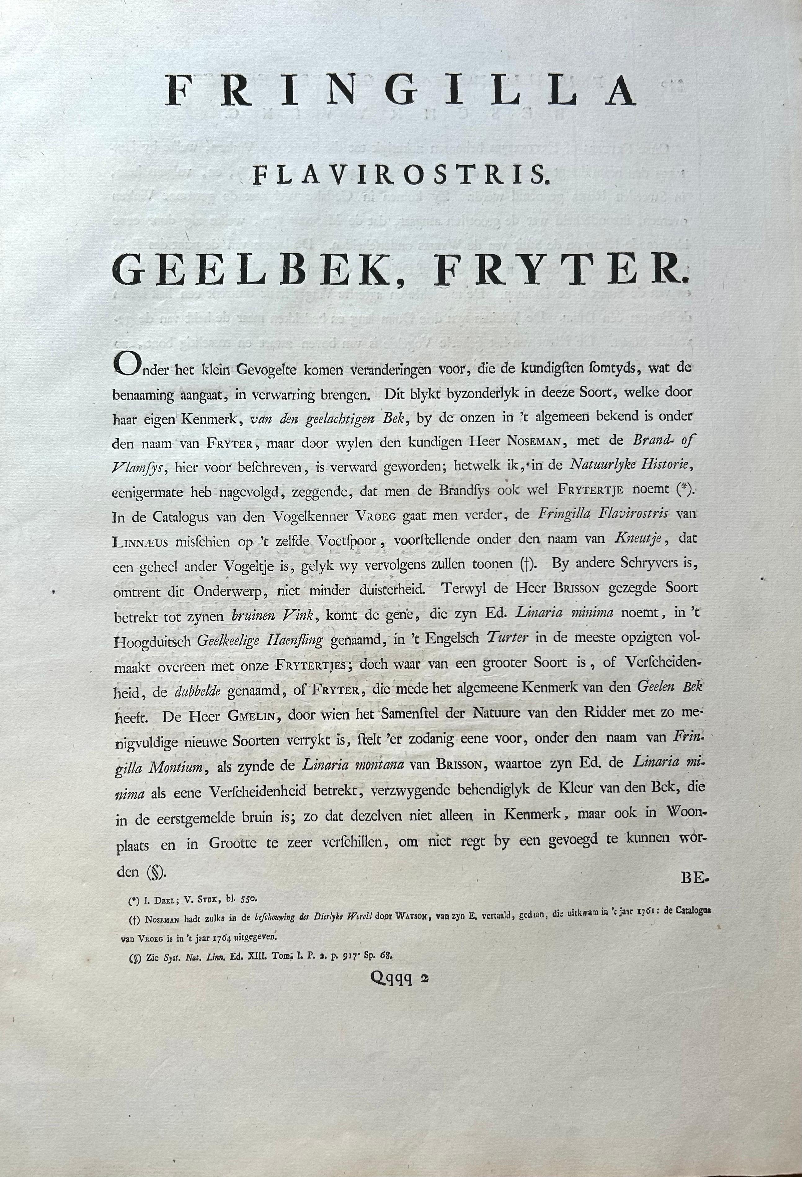 Impression oiseau ancienne du Twite par Sepp & Nozeman, 1809 en vente 2