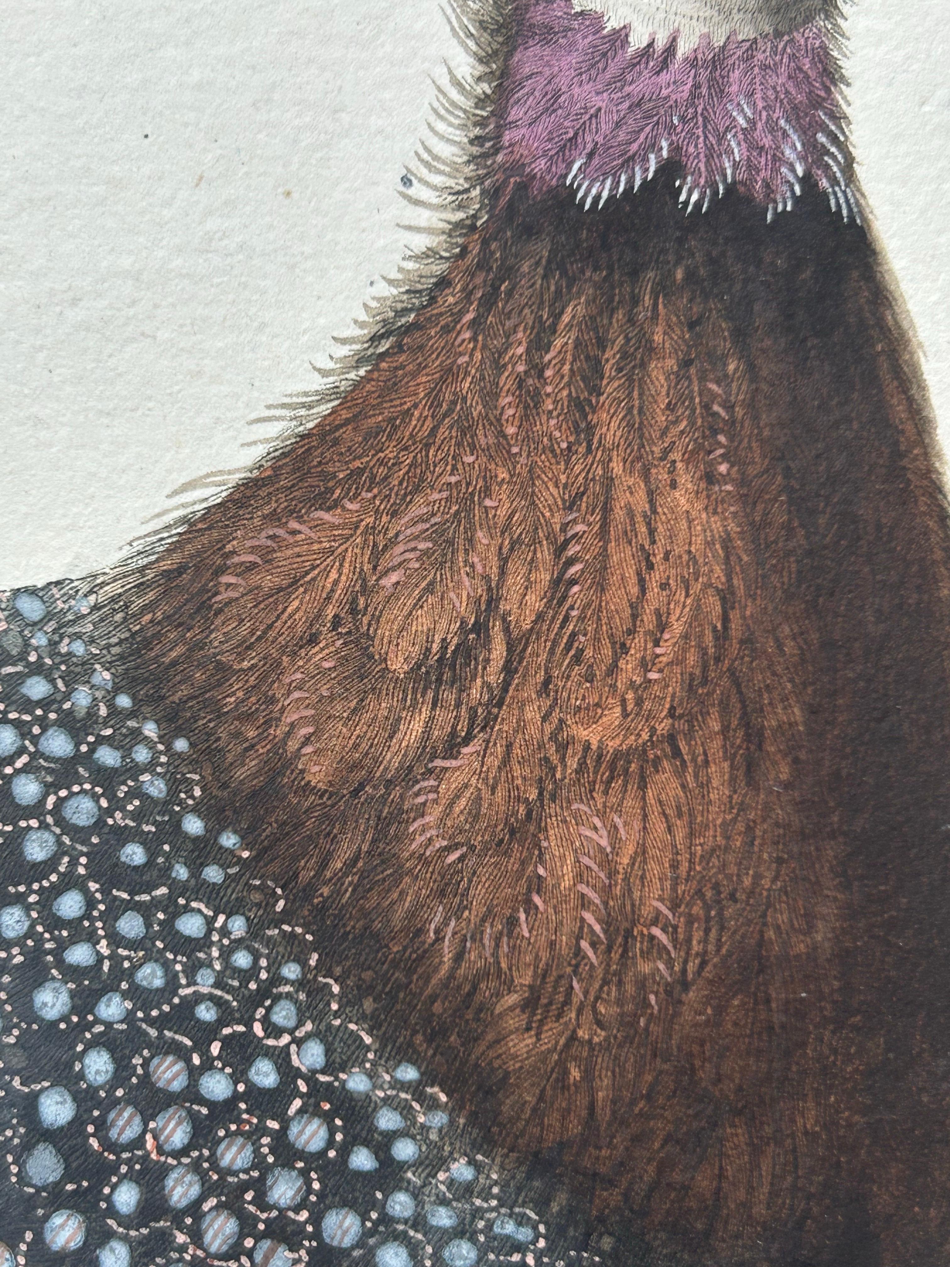 Numida Meleagris – Antique Helmeted Guineafowl Print by Nozeman & Sepp, 1829 For Sale 1