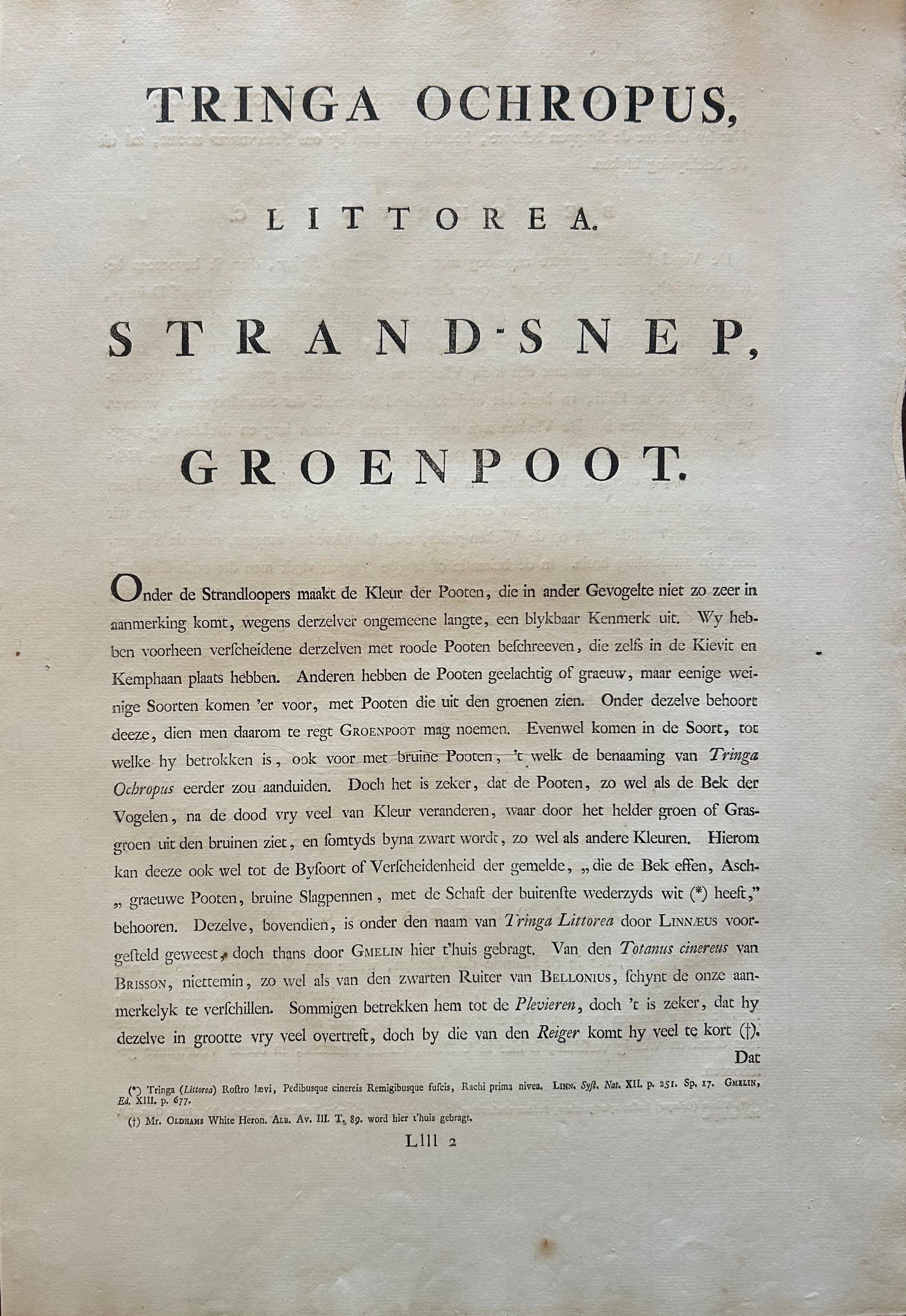 Antique Bird Print of the Green Sandpiper by Sepp & Nozeman, 1809 For Sale 4