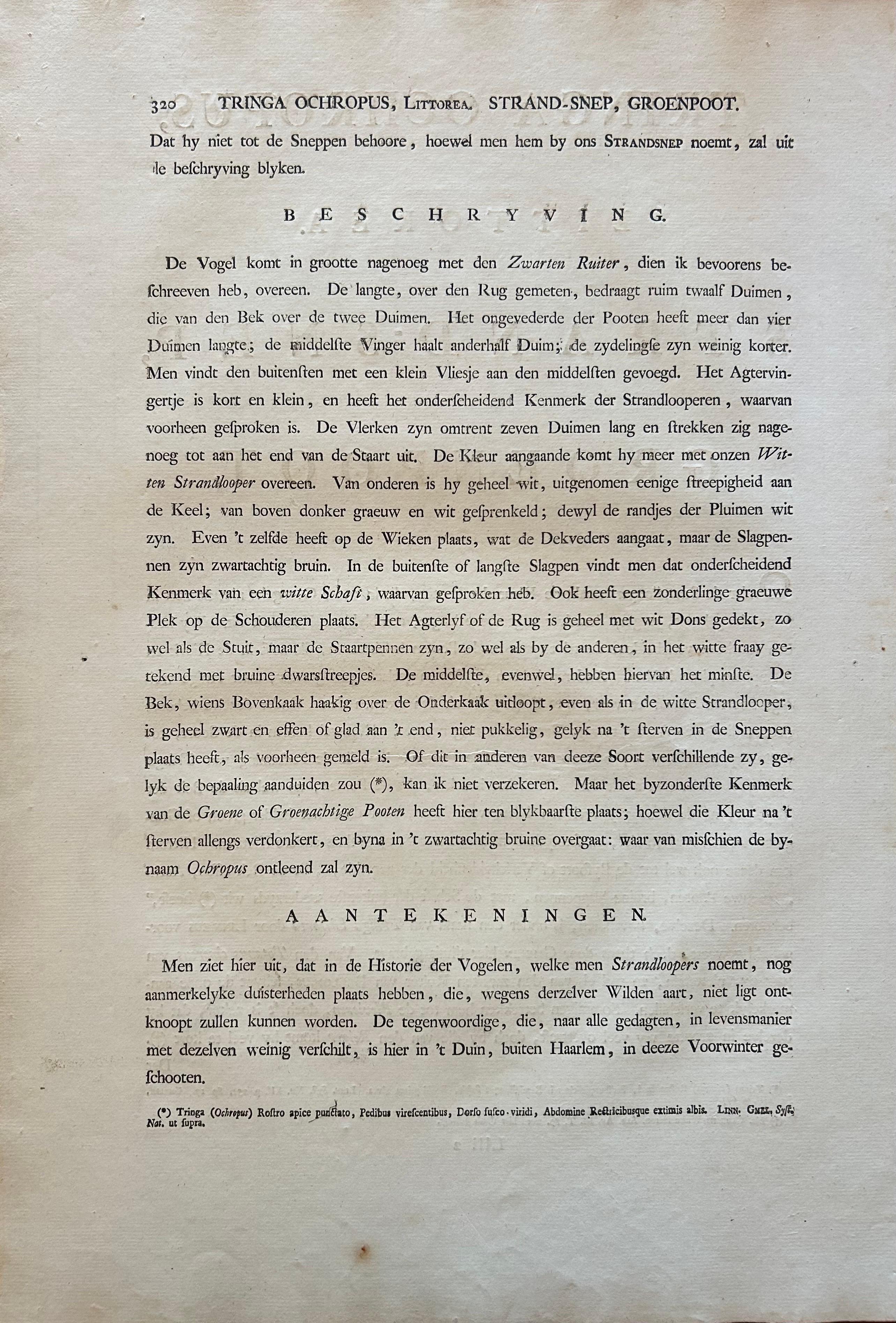 Antique Bird Print of the Green Sandpiper by Sepp & Nozeman, 1809 For Sale 5