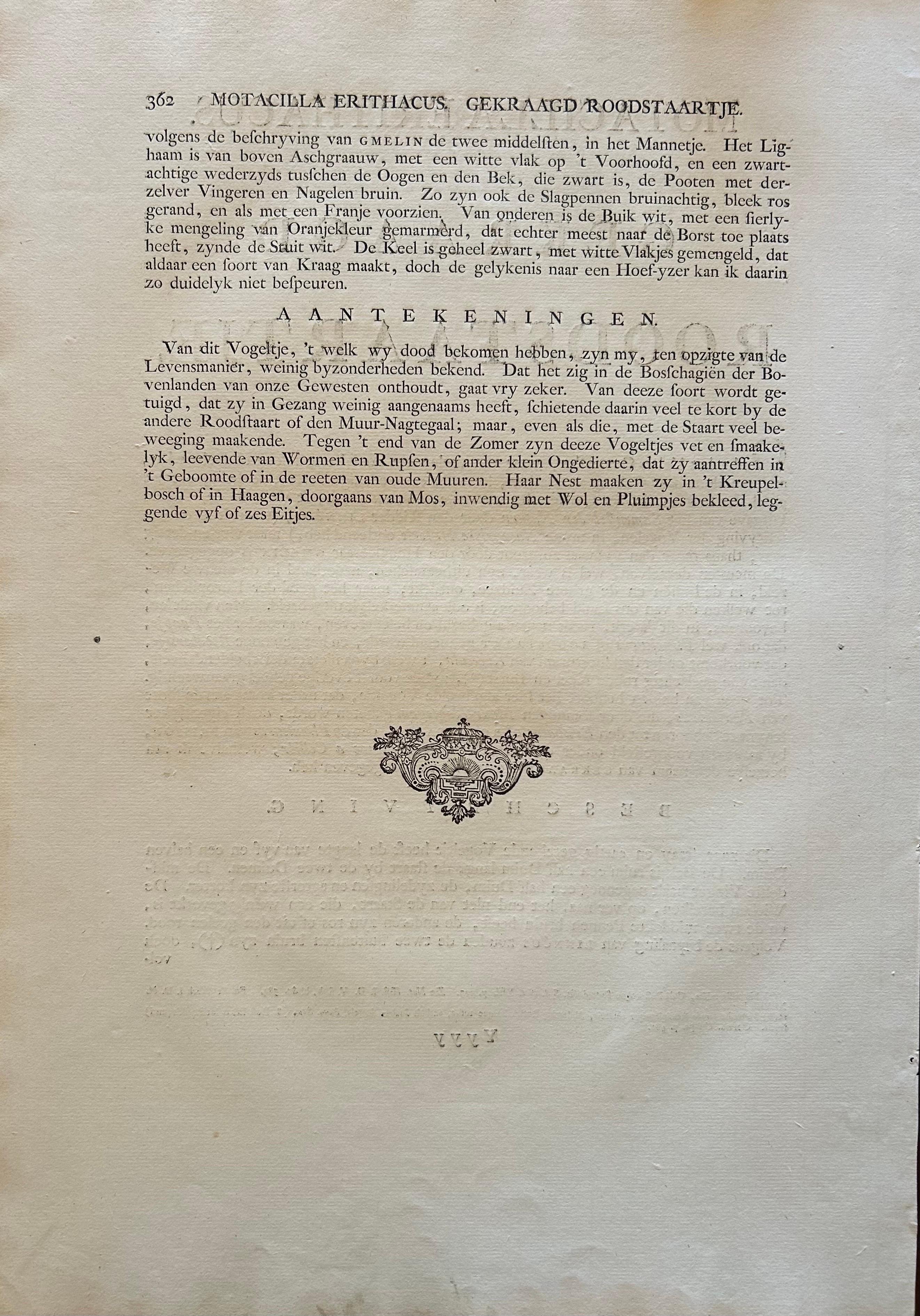 Antiker antiker Vogeldruck des Common Redstart von Sepp & Nozeman, 1809 im Angebot 3