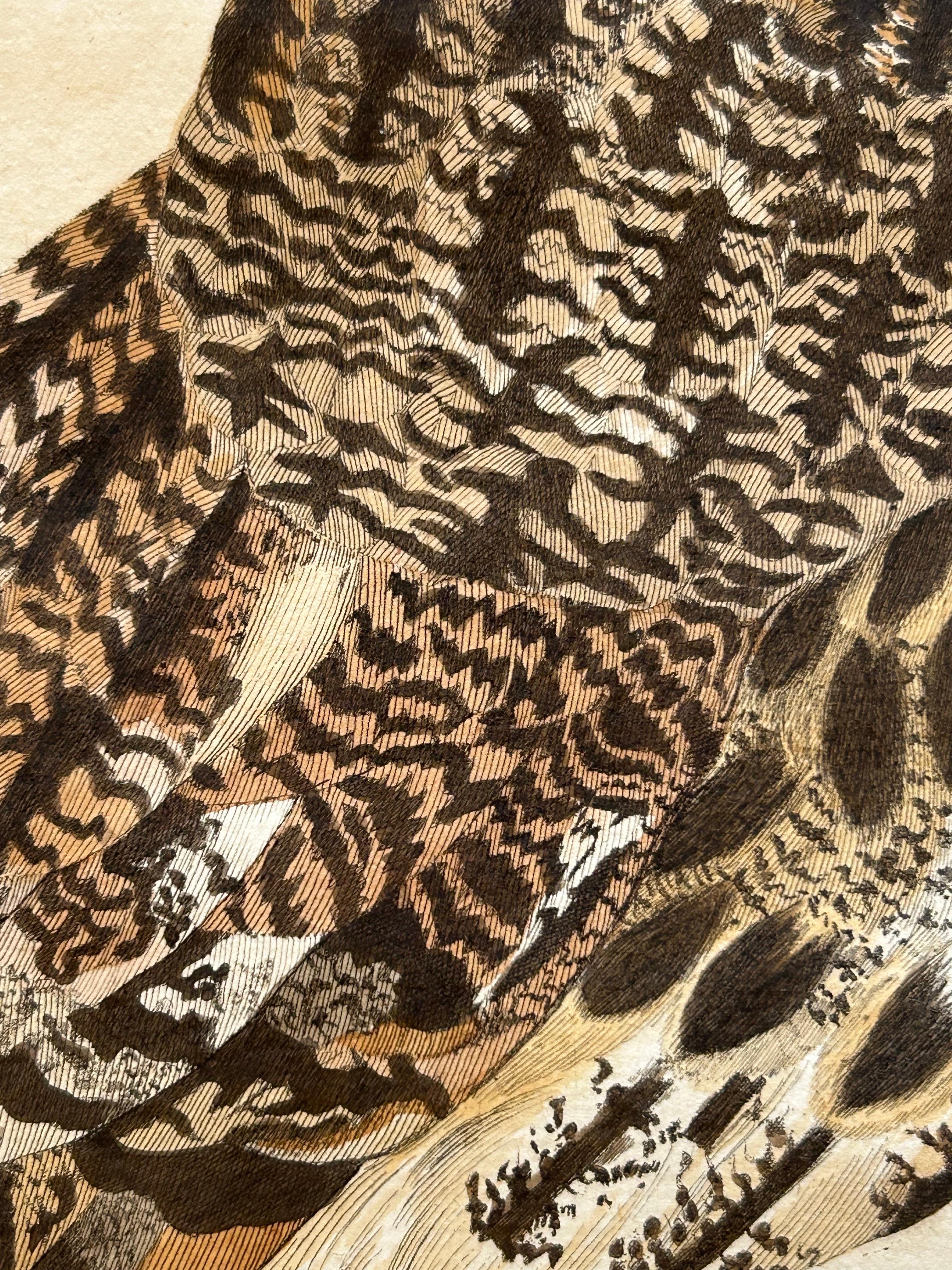 Dutch Strix Otus – Antique Long-Eared Owl Print by Nozeman & Sepp, 1809 For Sale