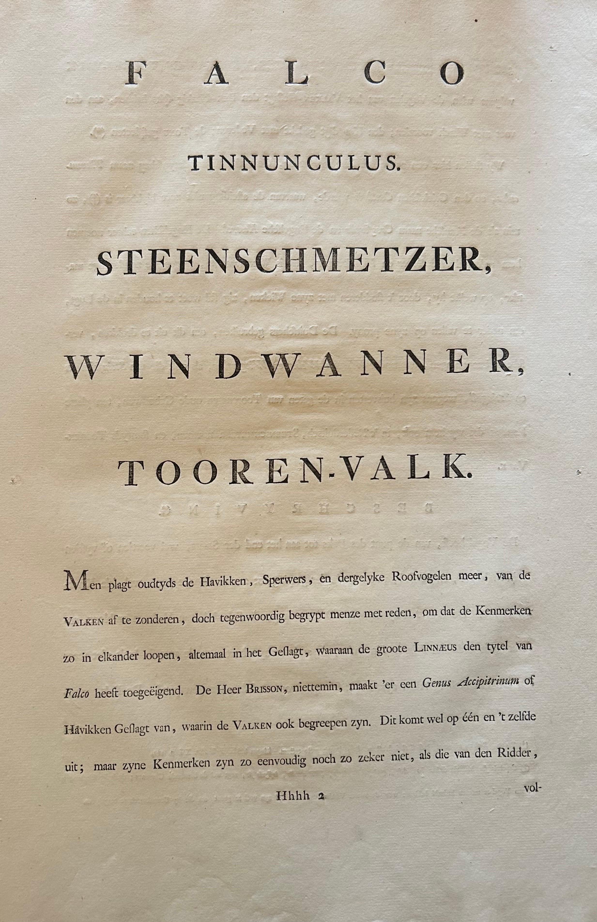 Stampa antica di un gheppio comune maschio di Sepp & Nozeman, 1809 in vendita 2
