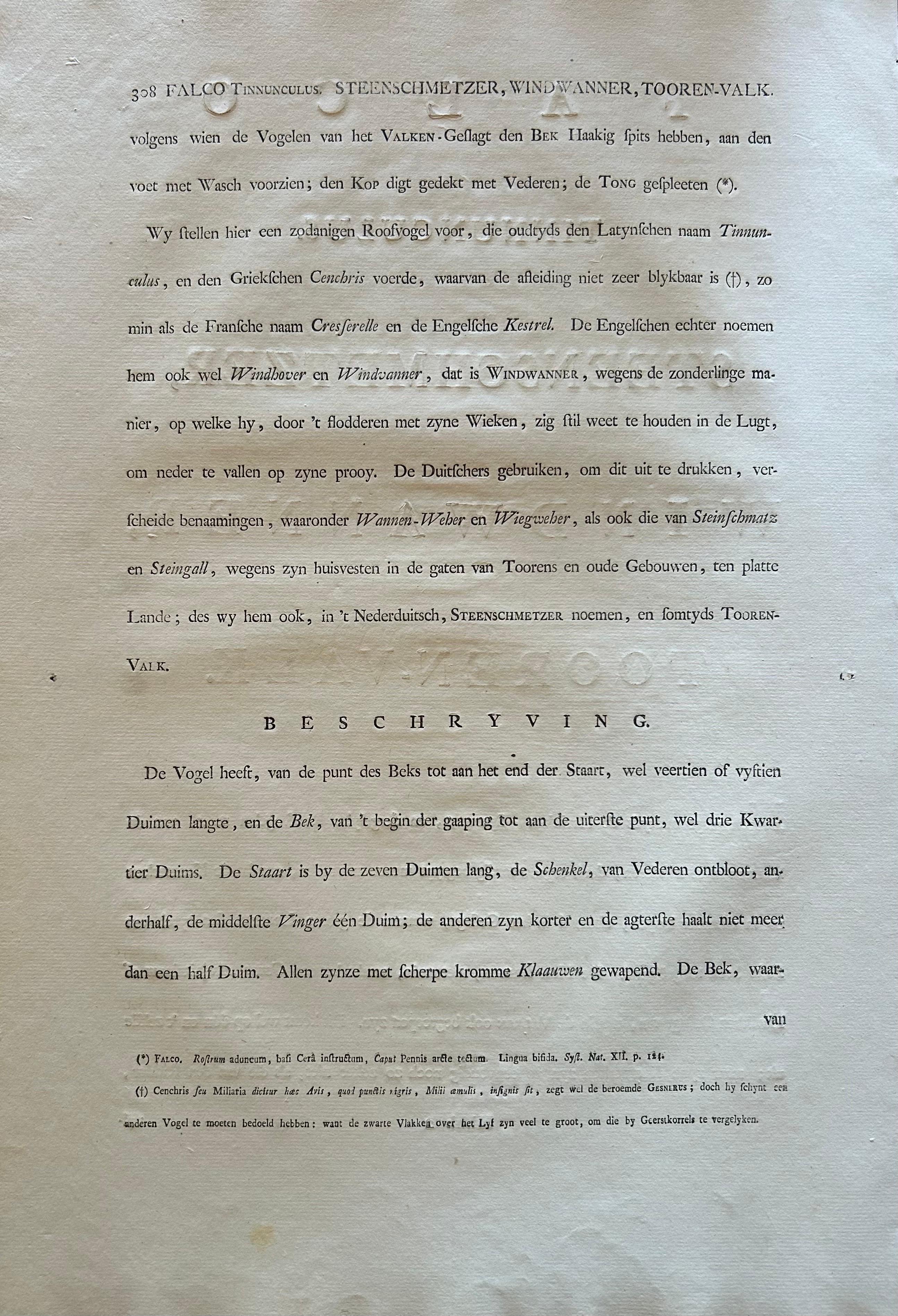 Stampa antica di un gheppio comune maschio di Sepp & Nozeman, 1809 in vendita 4