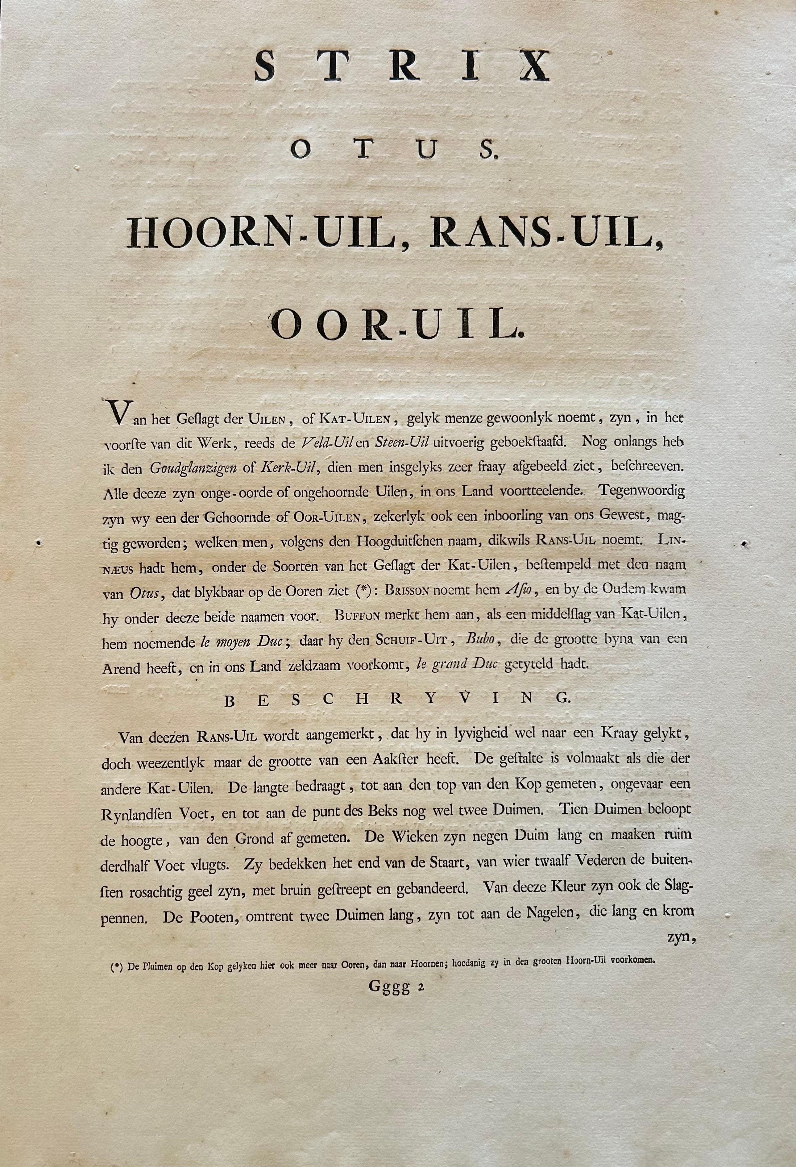 Strix Otus – Antique Long-Eared Owl Print by Nozeman & Sepp, 1809 For Sale 2