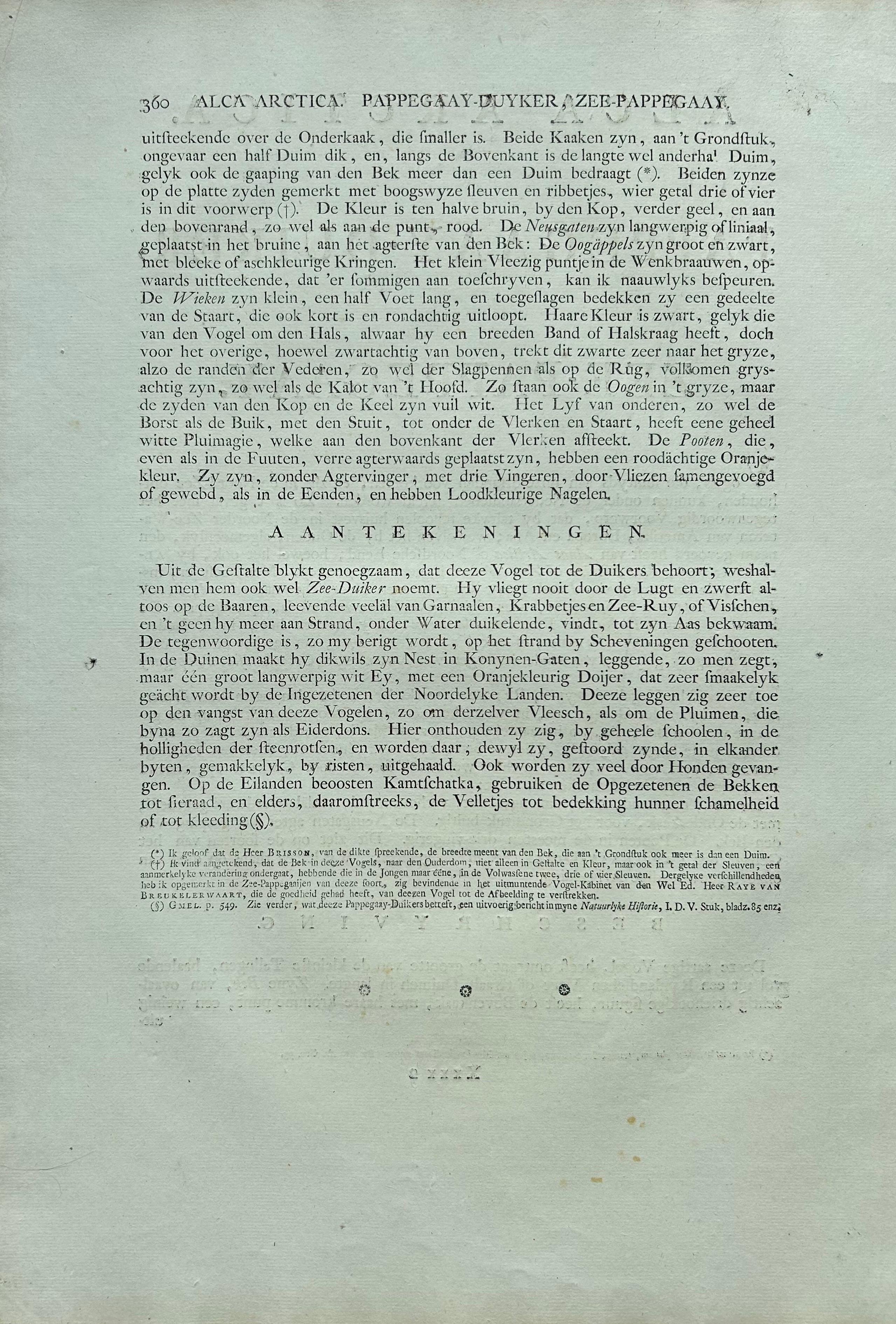 Impression ancienne d'oiseaux de l'Atlantique Puffin par Sepp & Nozeman, 1809 en vente 2