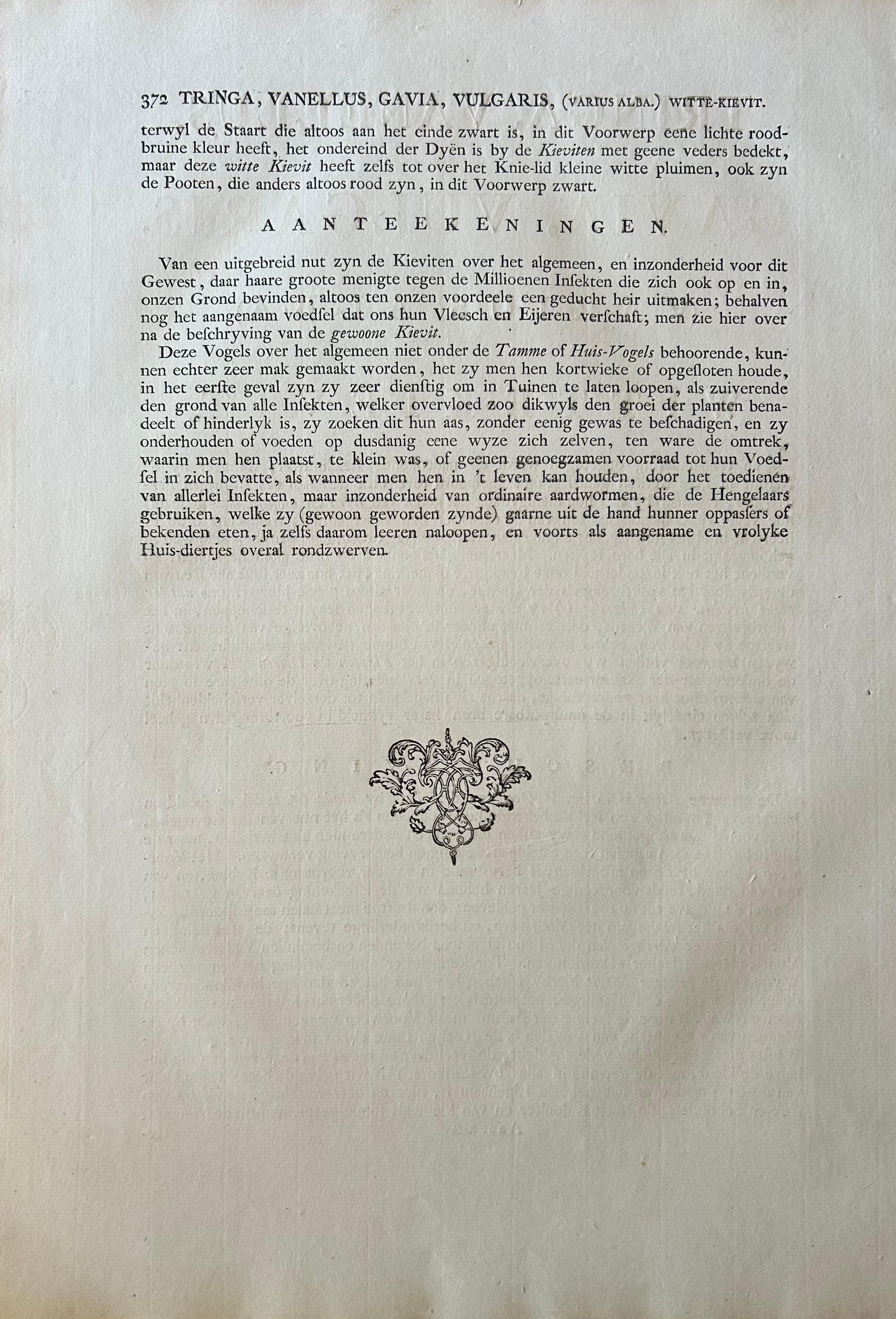 Tringa vanellus – Northern Lapwing (Kievit/Ljip) by Nozeman & Sepp, 1809 For Sale 5