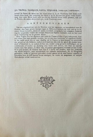 Tringa vanellus, Northern Lapwing (Kievit/Ljip) by Nozeman & Sepp, 1809, view 11