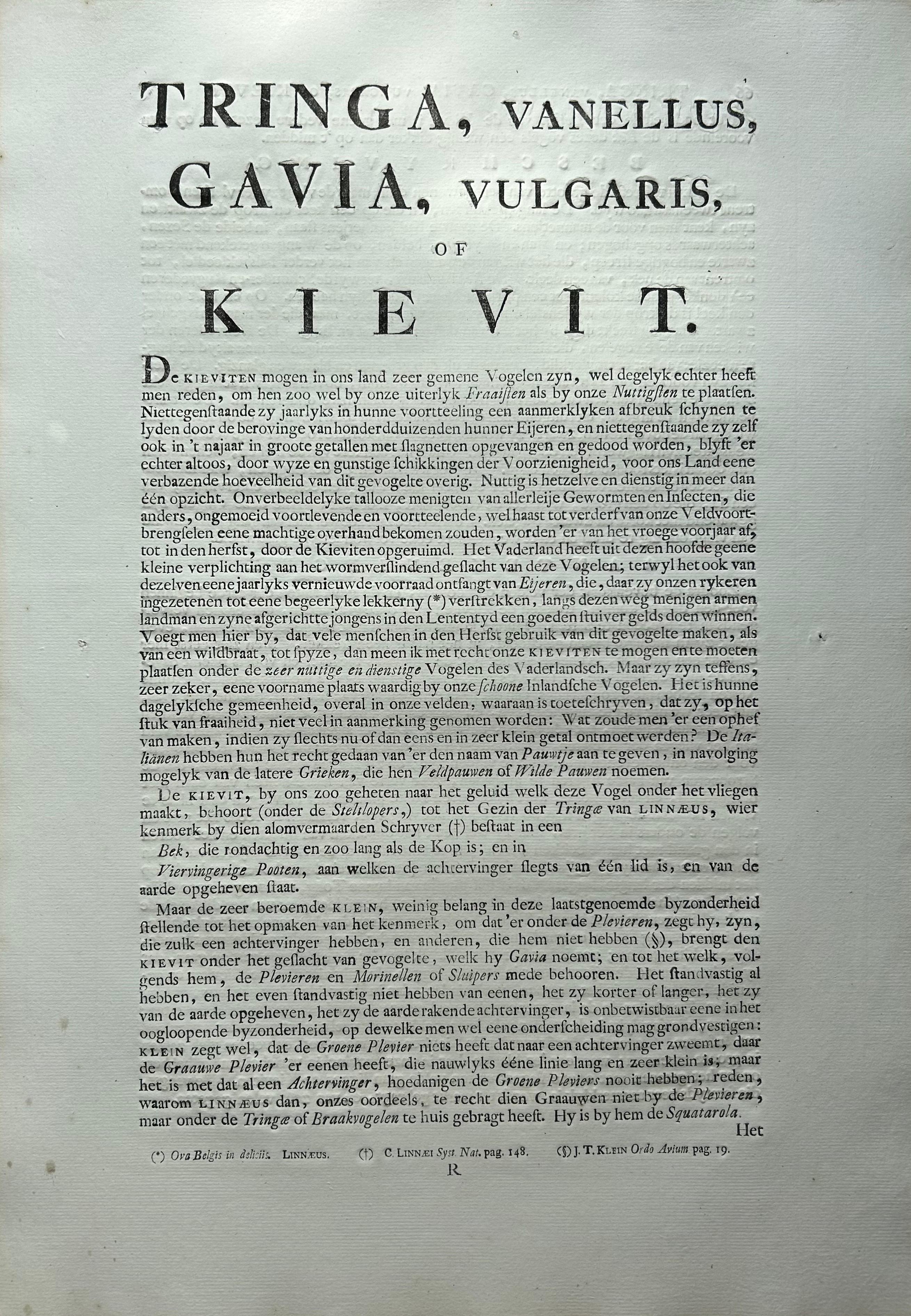 Northern Lapwing Print – Tringa Vanellus Vulgaris by Nozeman and Sepp, 1770 For Sale 4