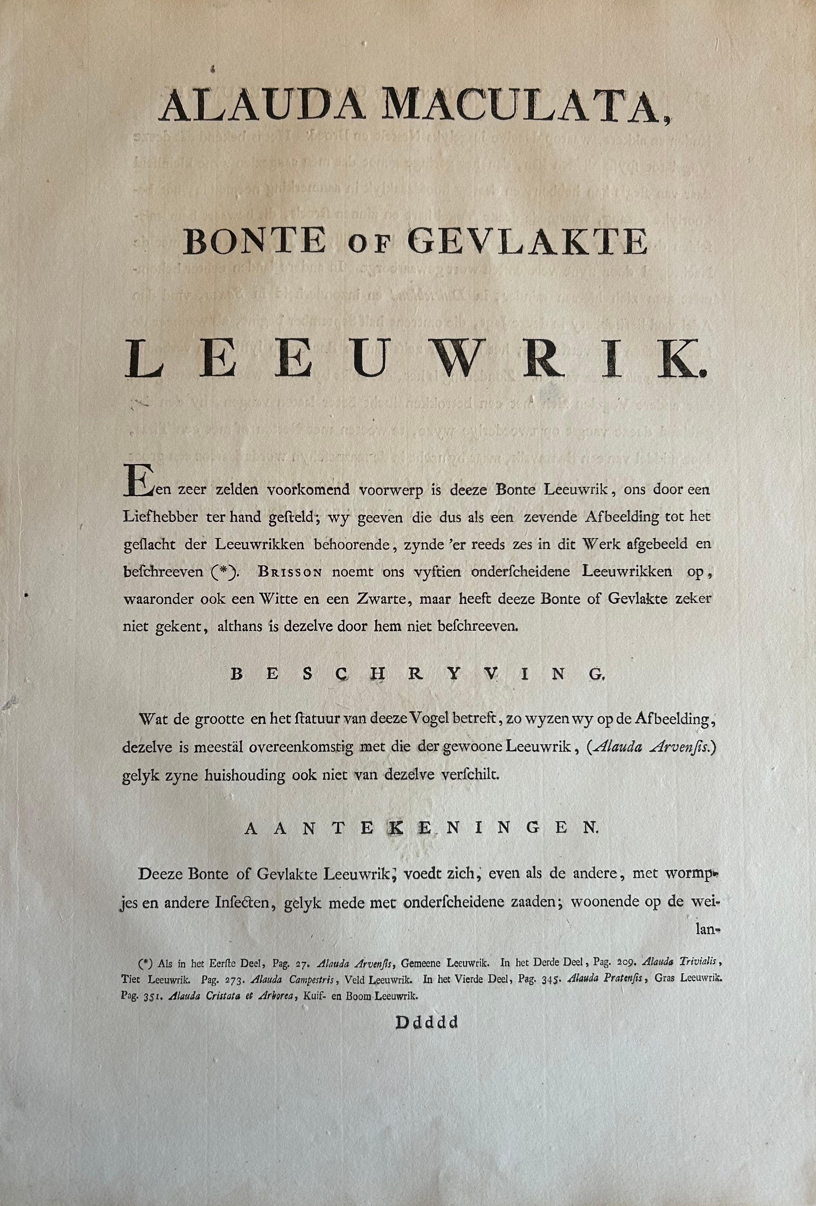 Eurasian Skylark – Antique Bird Engraving by Nozeman and Sepp, 1809 For Sale 4